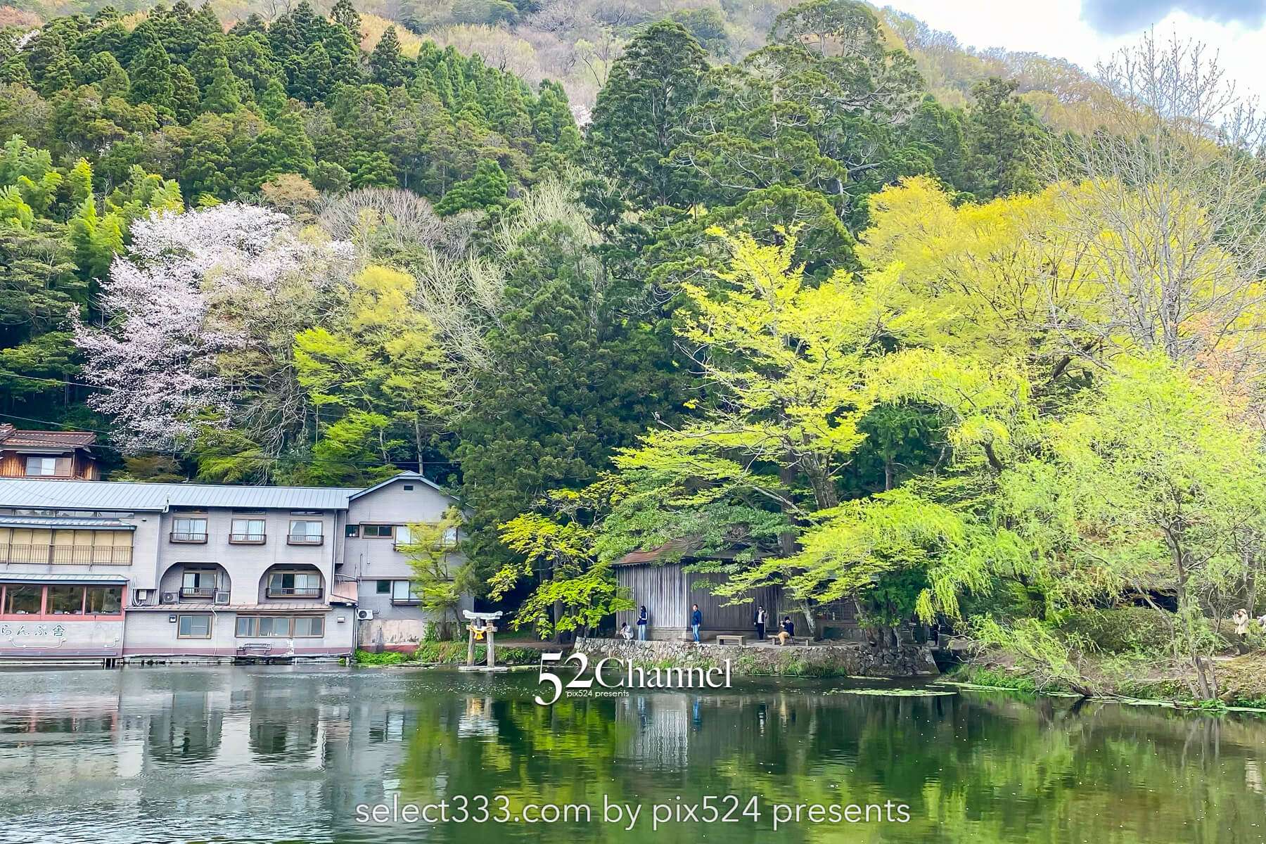 金鱗湖：大分県湯布院の人気観光地見どころ・撮影ポイント！朝霧・紅葉・湖畔散策ガイド