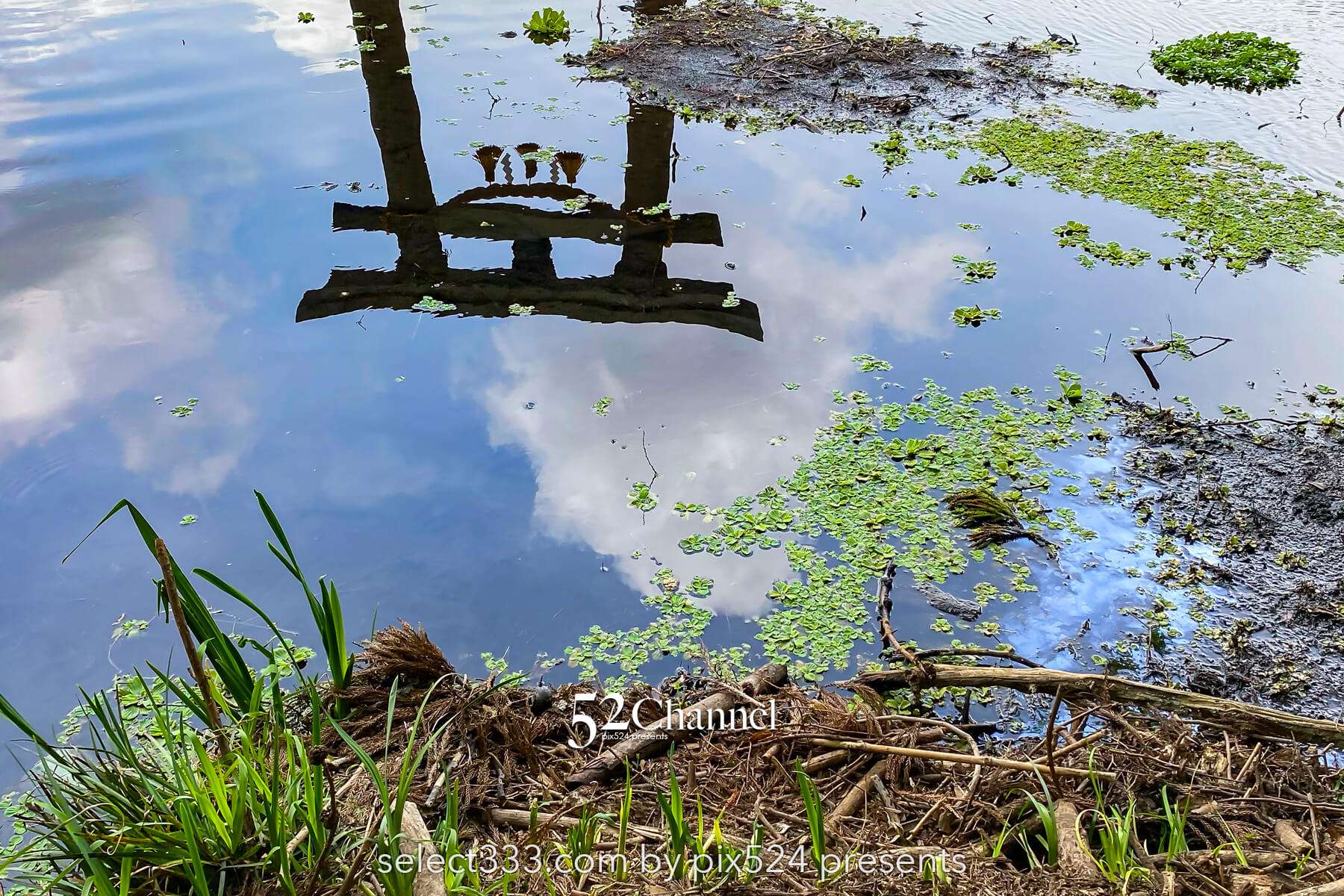 金鱗湖：大分県湯布院の人気観光地見どころ・撮影ポイント！朝霧・紅葉・湖畔散策ガイド