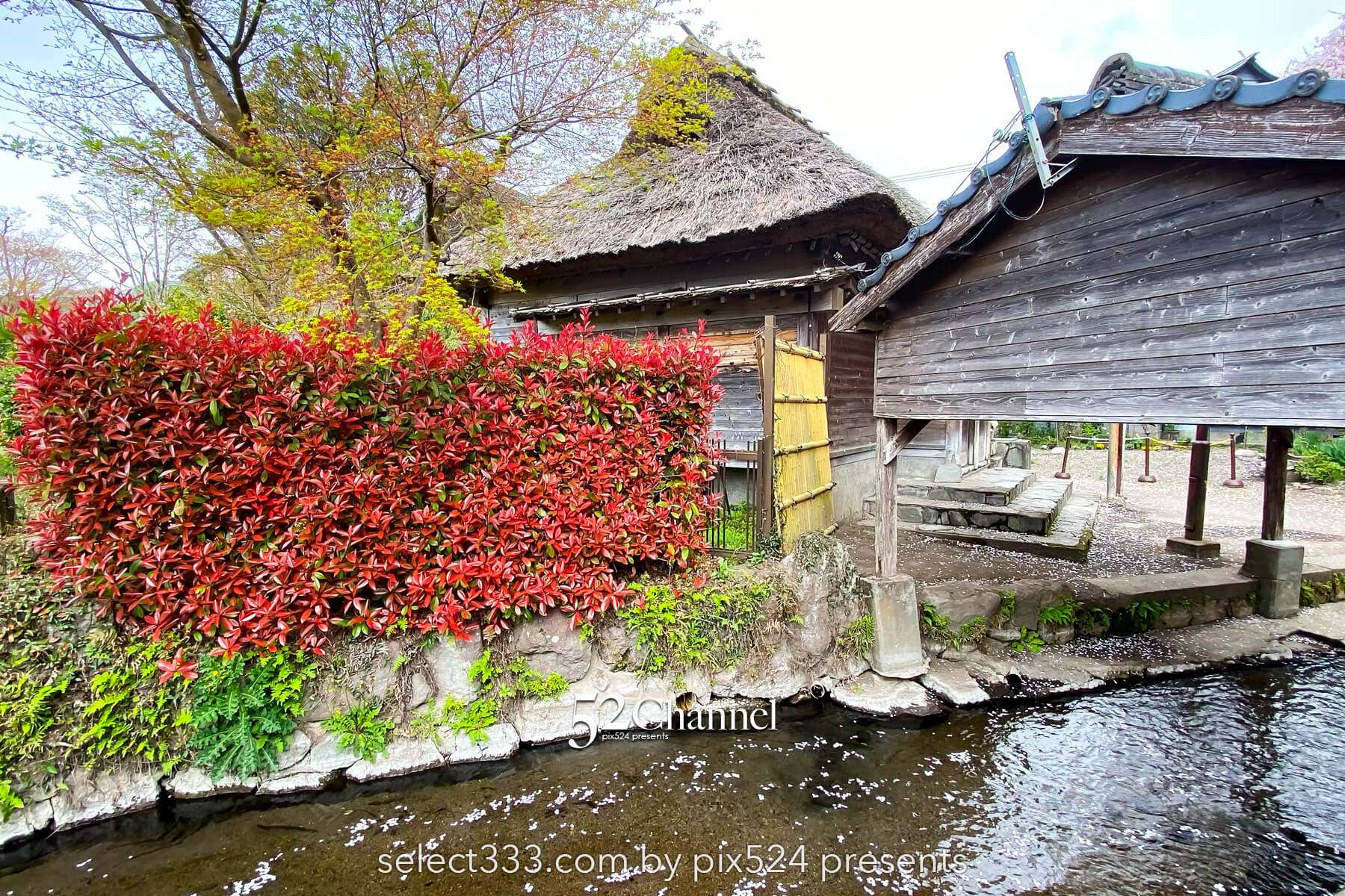 金鱗湖：大分県湯布院の人気観光地見どころ・撮影ポイント！朝霧・紅葉・湖畔散策ガイド