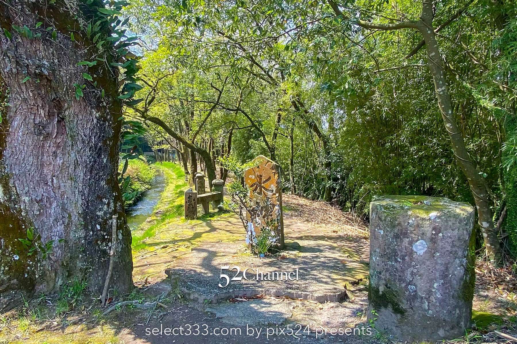 金山橋と坂井手の滝:鹿児島の秘境にある手付かずの風景観光・撮影!アクセス方法と周辺案内