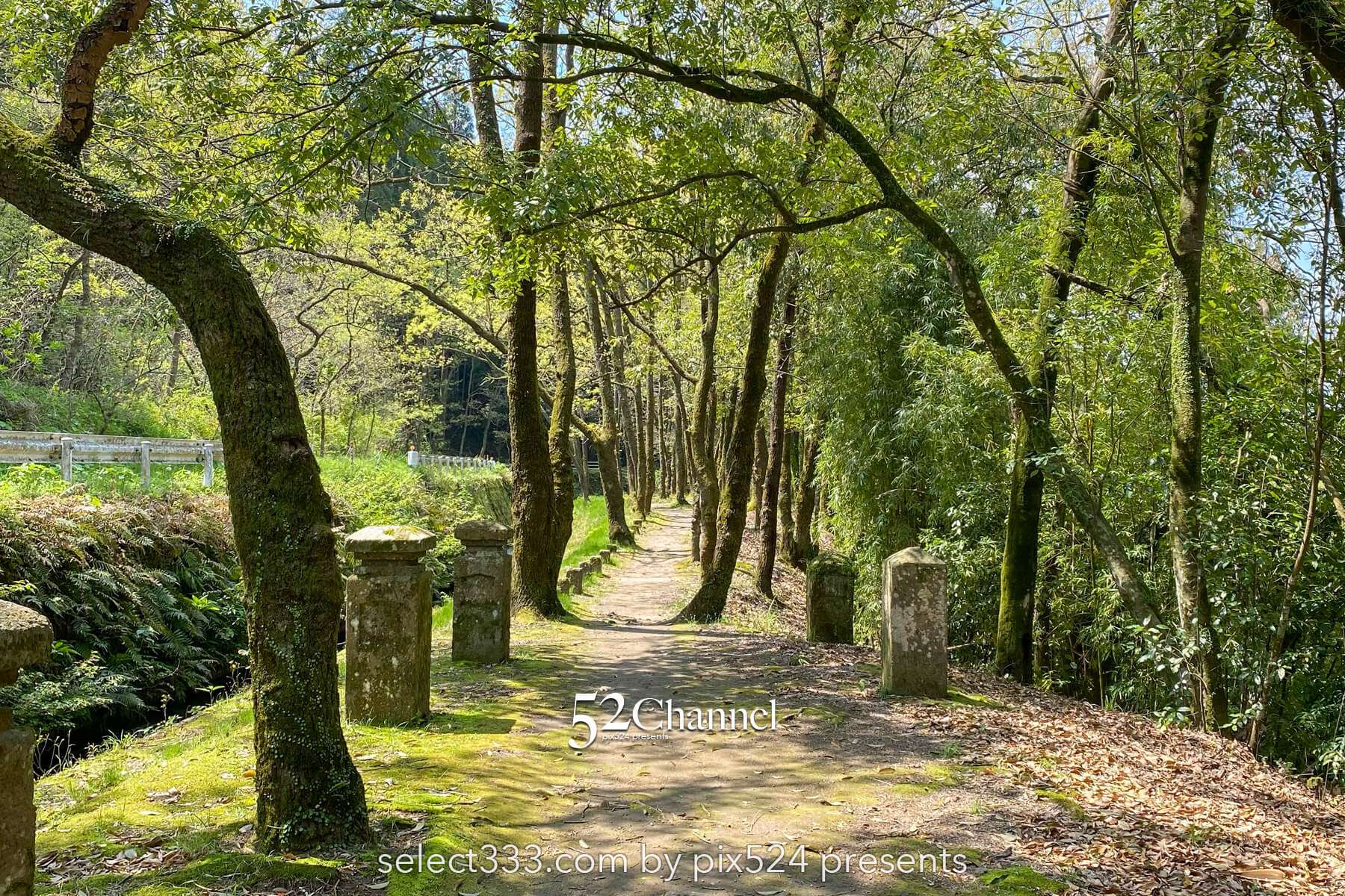 金山橋と坂井手の滝:鹿児島の秘境にある手付かずの風景観光・撮影!アクセス方法と周辺案内