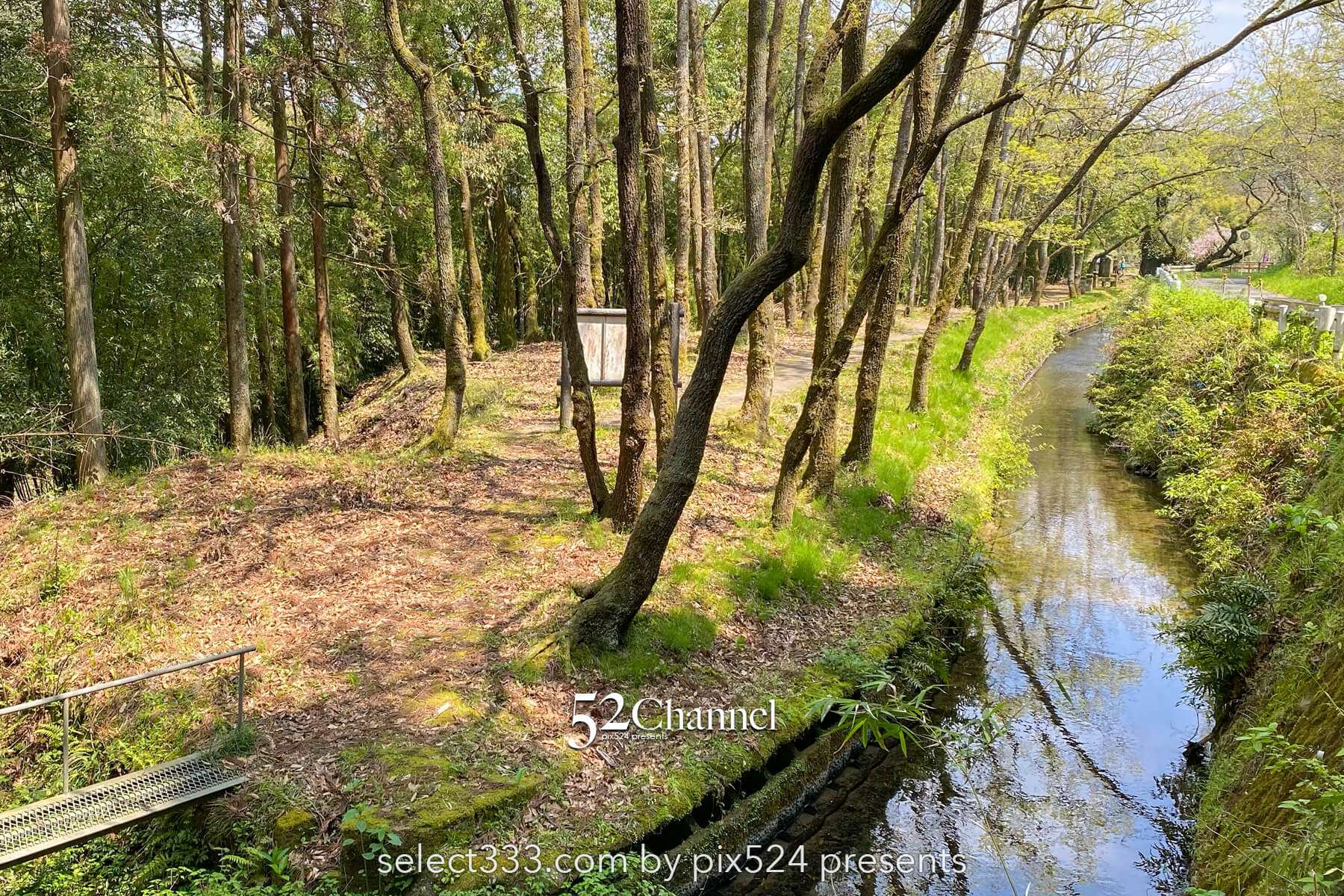 金山橋と坂井手の滝:鹿児島の秘境にある手付かずの風景観光・撮影!アクセス方法と周辺案内