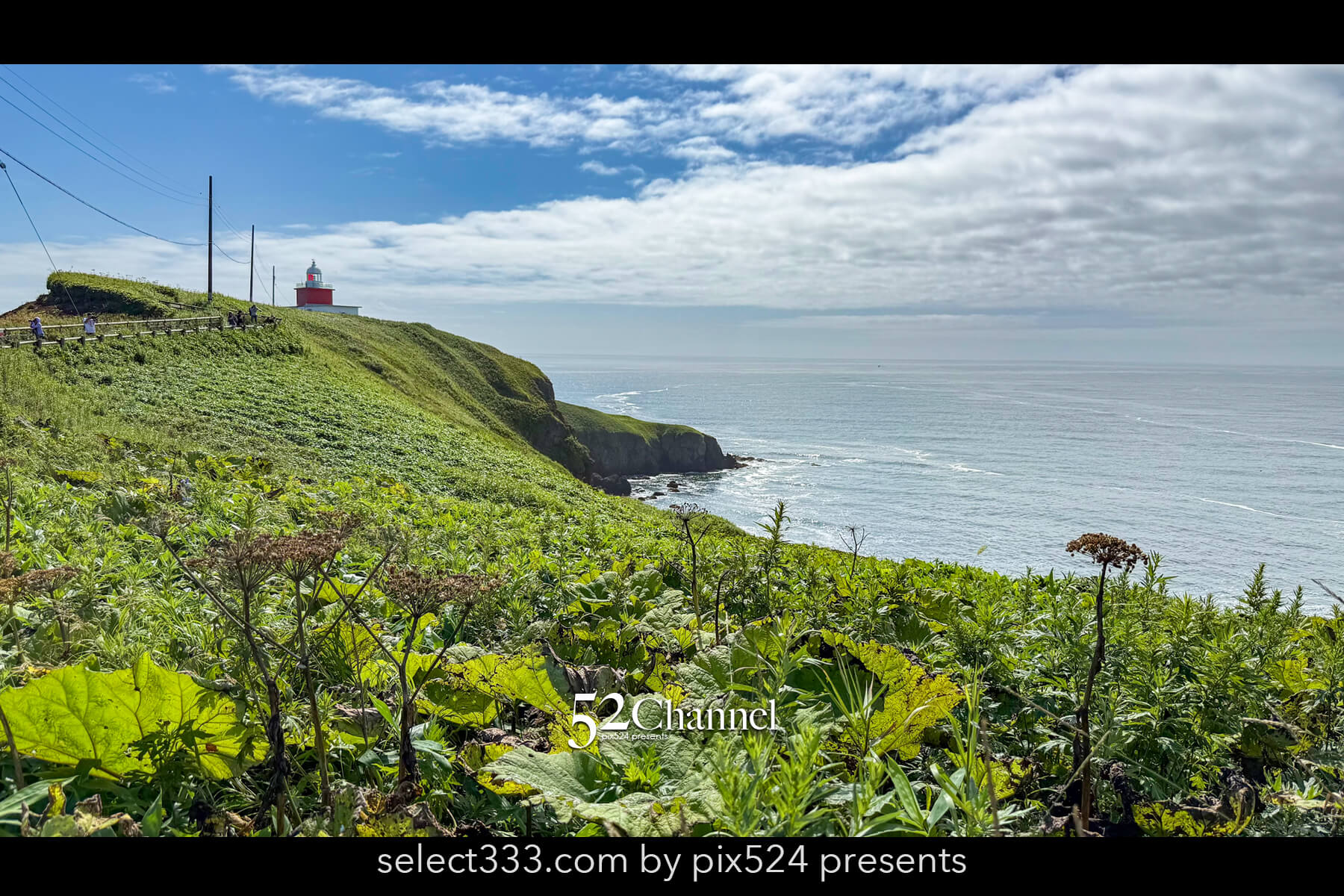 霧多布岬：北海道屈指の秘境フォトスポット！野生のラッコを撮影！観光と撮影ポイント
