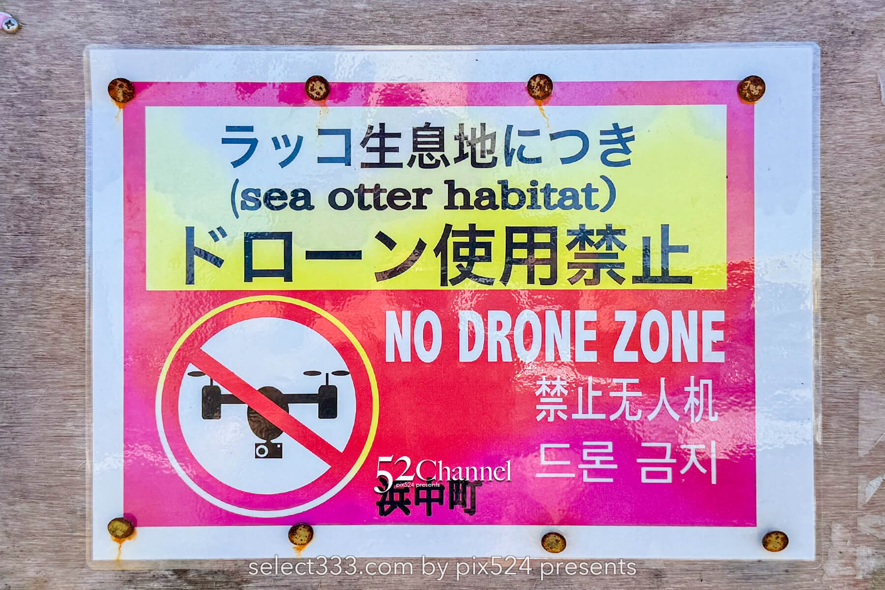 霧多布岬：北海道屈指の秘境フォトスポット！野生のラッコを撮影！観光と撮影ポイント