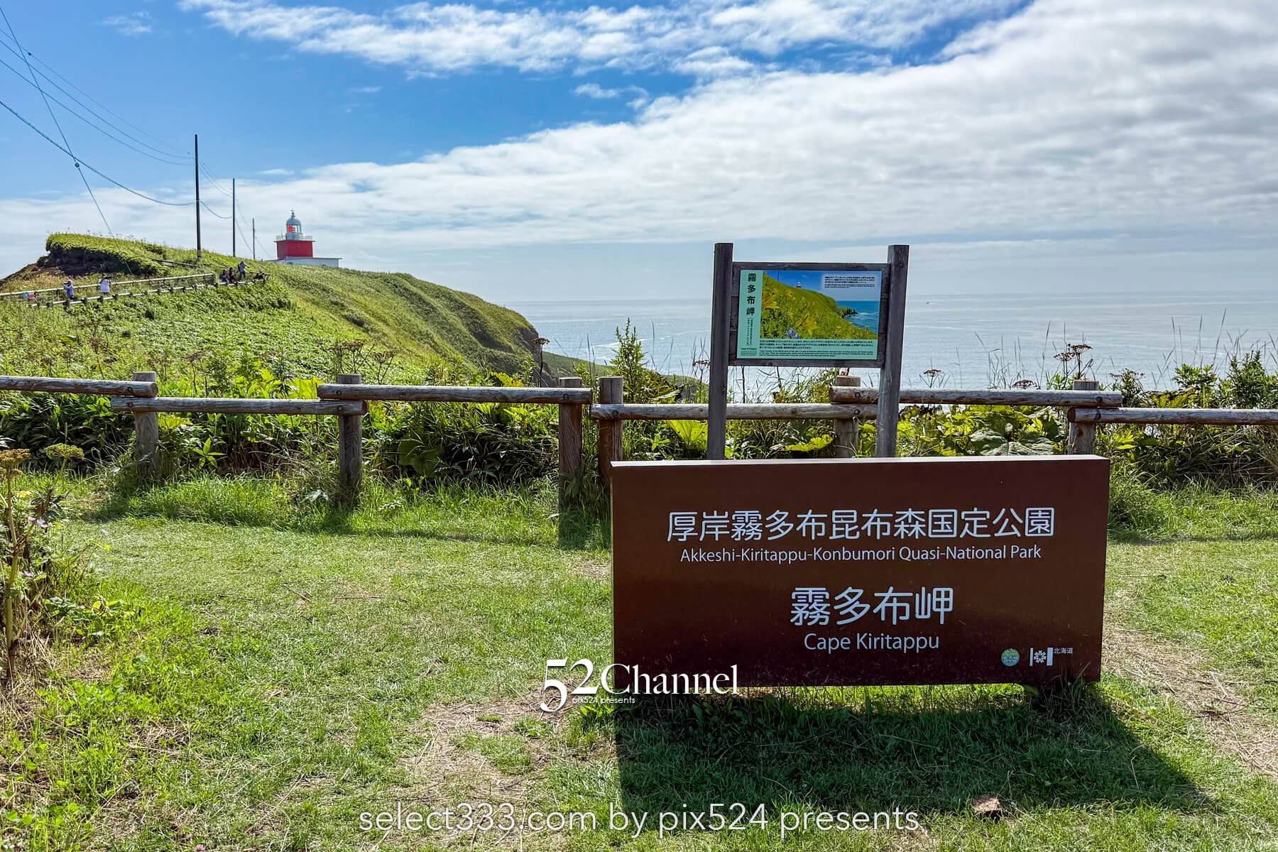 霧多布岬：北海道屈指の秘境フォトスポット！野生のラッコを撮影！観光と撮影ポイント