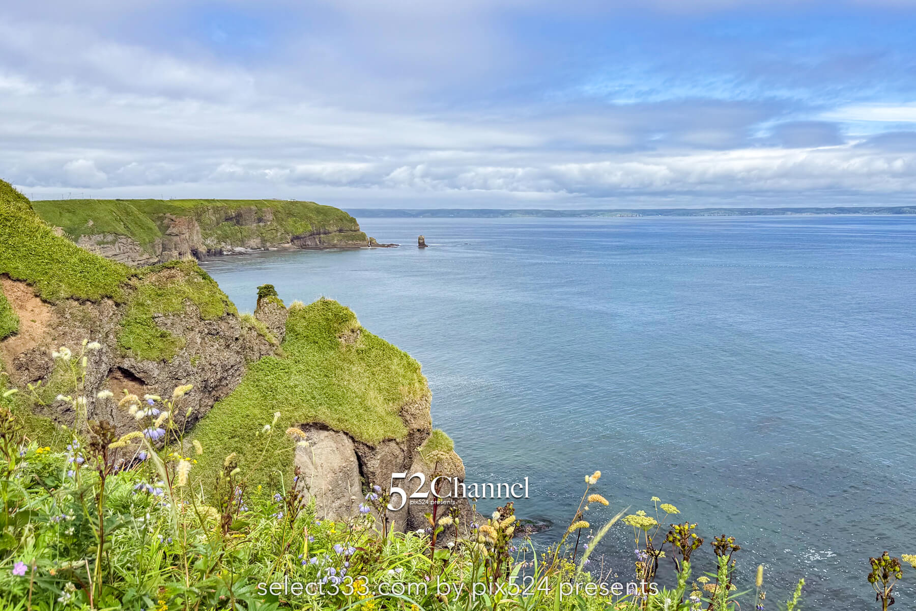 霧多布岬：北海道屈指の秘境フォトスポット！野生のラッコを撮影！観光と撮影ポイント