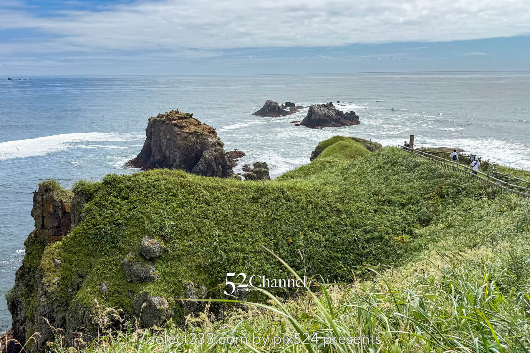 霧多布岬：北海道屈指の秘境フォトスポット！野生のラッコを撮影！観光と撮影ポイント