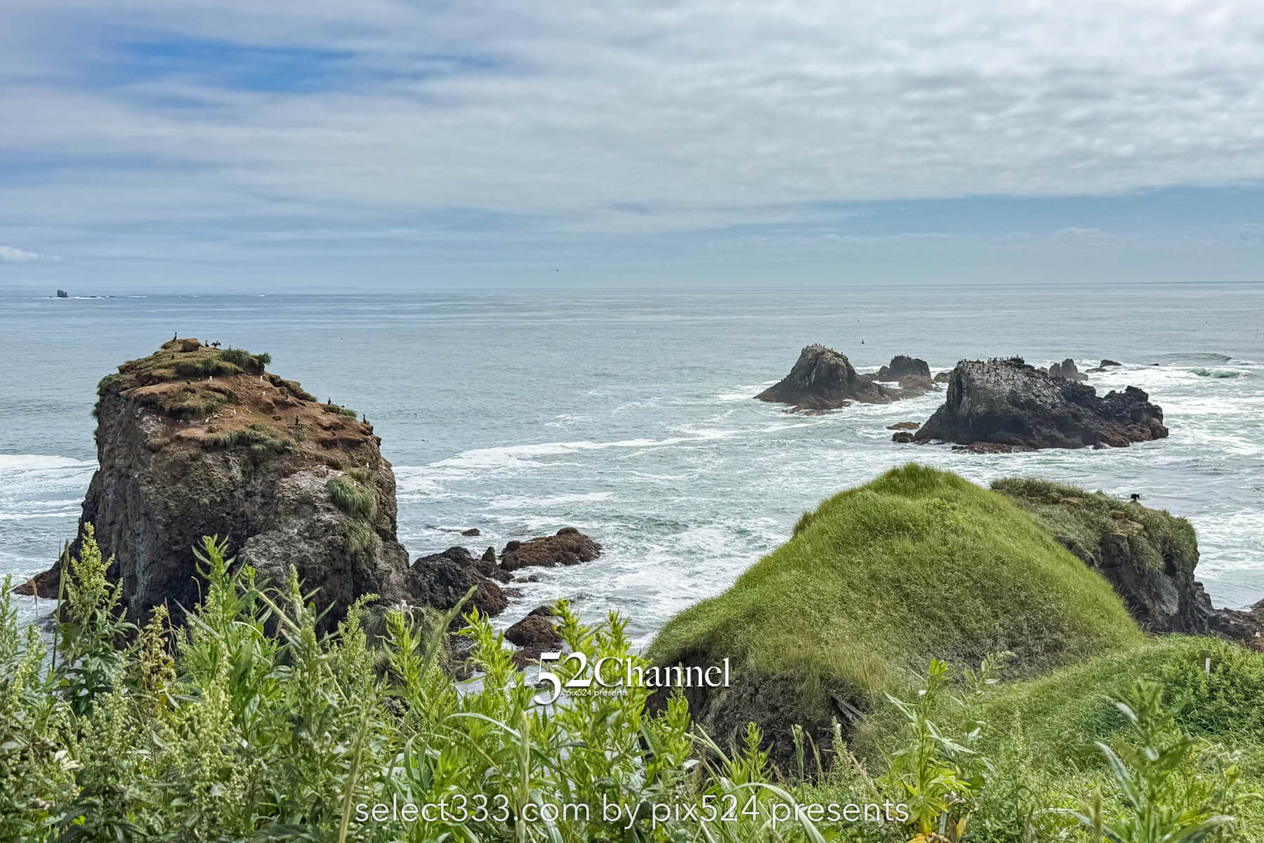 霧多布岬：北海道屈指の秘境フォトスポット！野生のラッコを撮影！観光と撮影ポイント