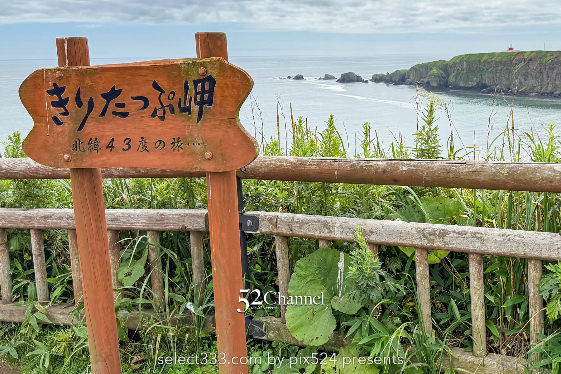 霧多布岬：北海道屈指の秘境フォトスポット！野生のラッコを撮影！観光と撮影ポイント