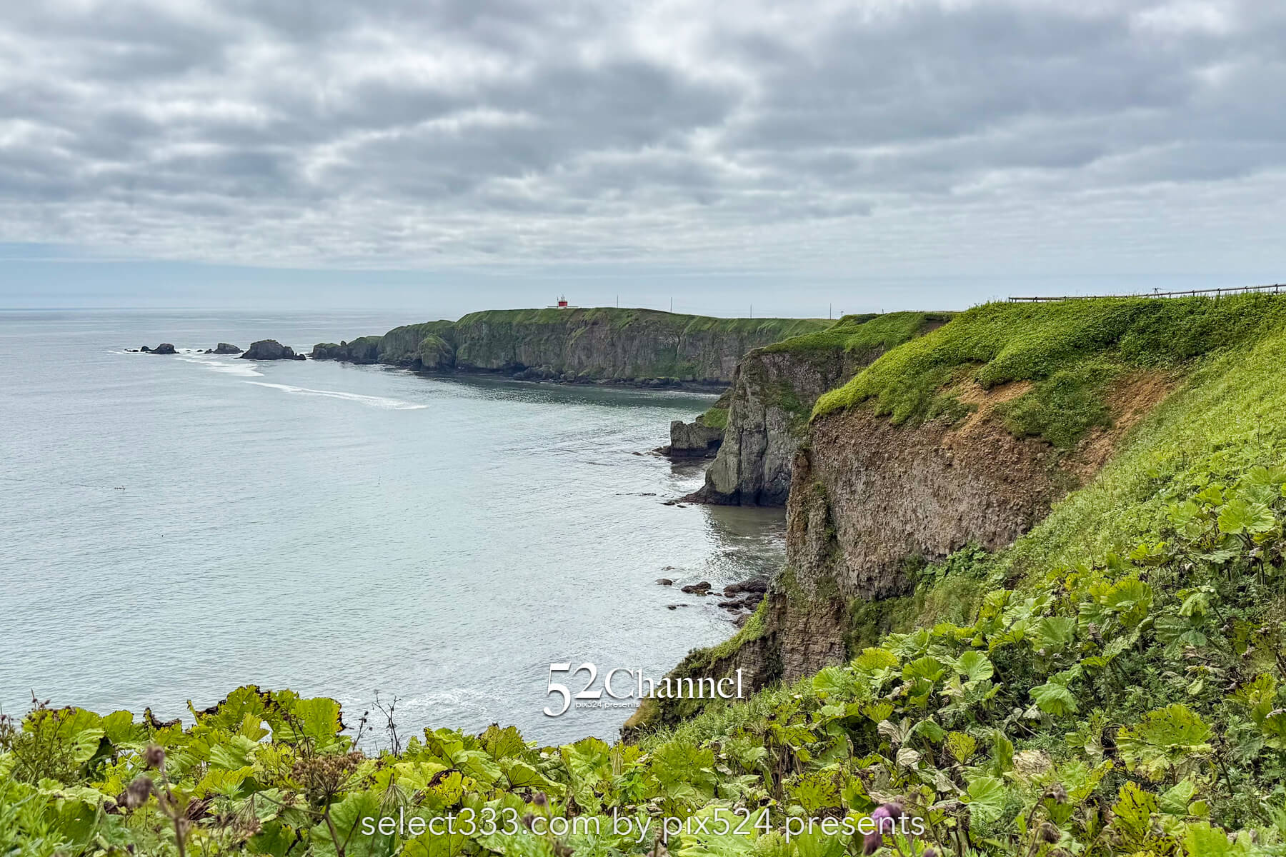 霧多布岬：北海道屈指の秘境フォトスポット！野生のラッコを撮影！観光と撮影ポイント