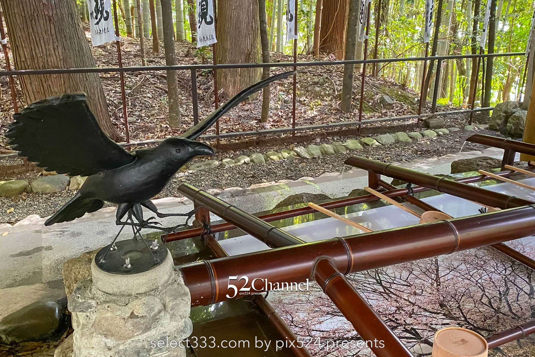 熊野本宮大社と大斎原大鳥居を巡る参拝と撮影！歴史巡りの絶景旅！見どころ・混雑・撮影情報