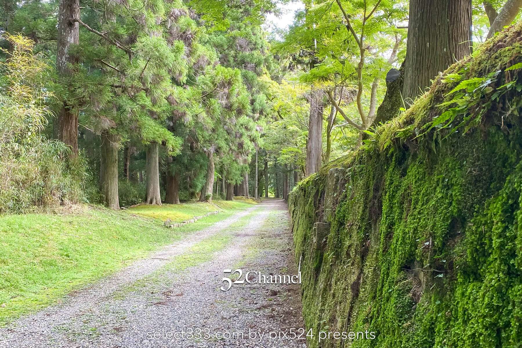 熊野本宮大社と大斎原大鳥居を巡る参拝と撮影！歴史巡りの絶景旅！見どころ・混雑・撮影情報