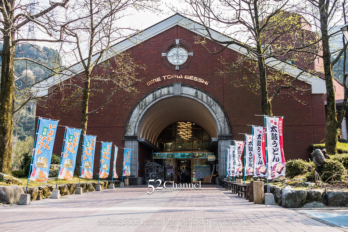 マイントピア別子満開の桜並木：川添いに咲く桜のトンネル撮影！産業遺産の桜風景ポイント