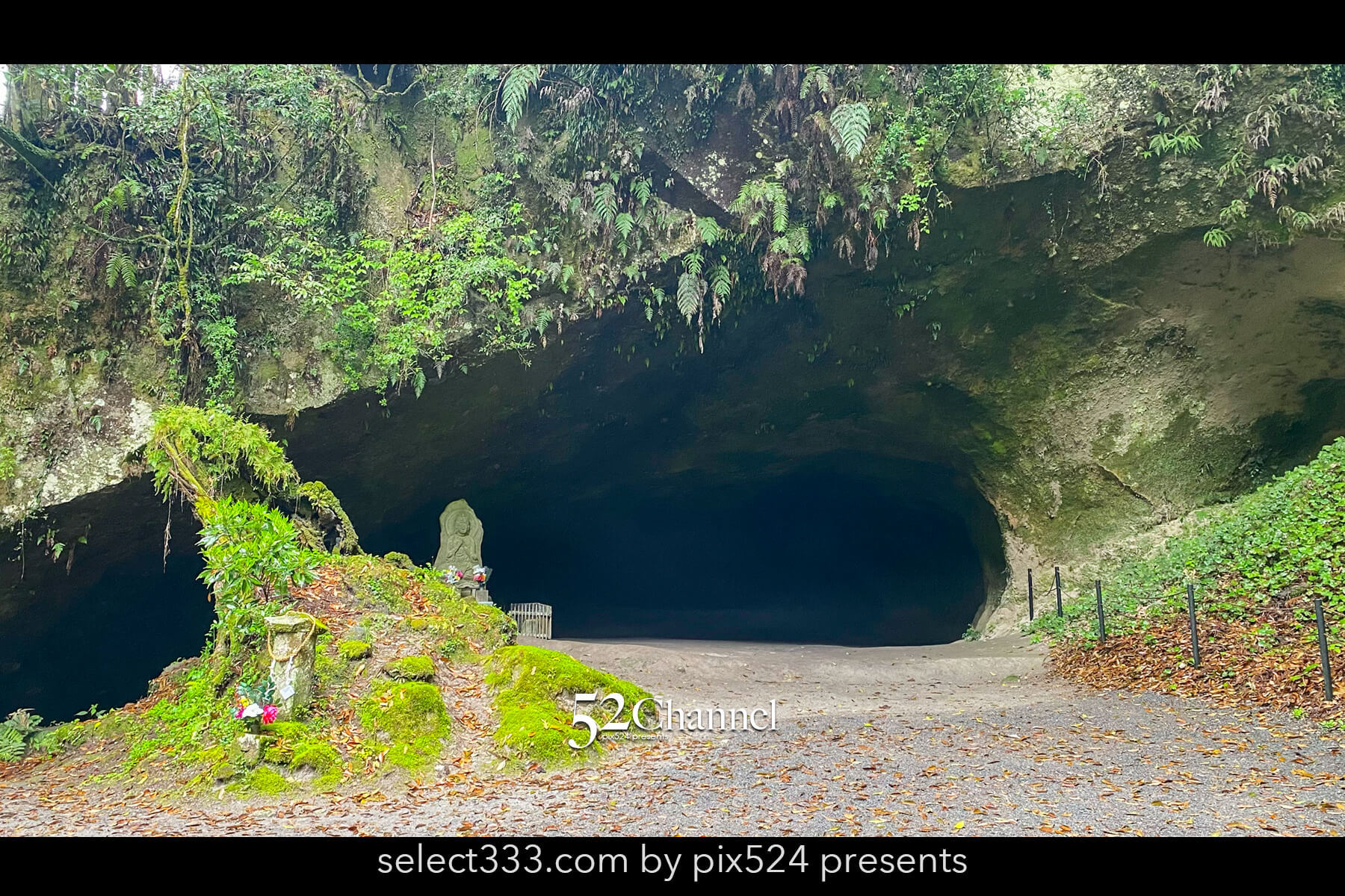 溝ノ口洞穴:象徴的な鳥居と光の差し込む神秘的な絶景スポット!観光と撮影ポイント