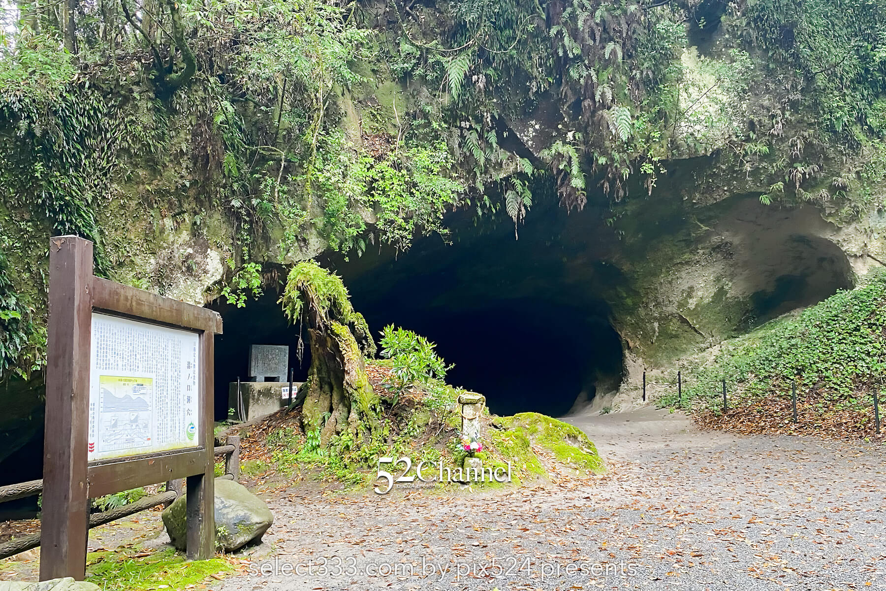 溝ノ口洞穴:象徴的な鳥居と光の差し込む神秘的な絶景スポット!観光と撮影ポイント