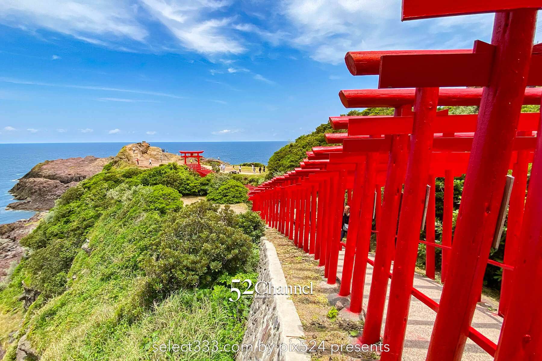 元乃隅神社：赤い鳥居が坂に続く山口県の絶景観光撮影スポット！アクセスと混雑回避ガイド