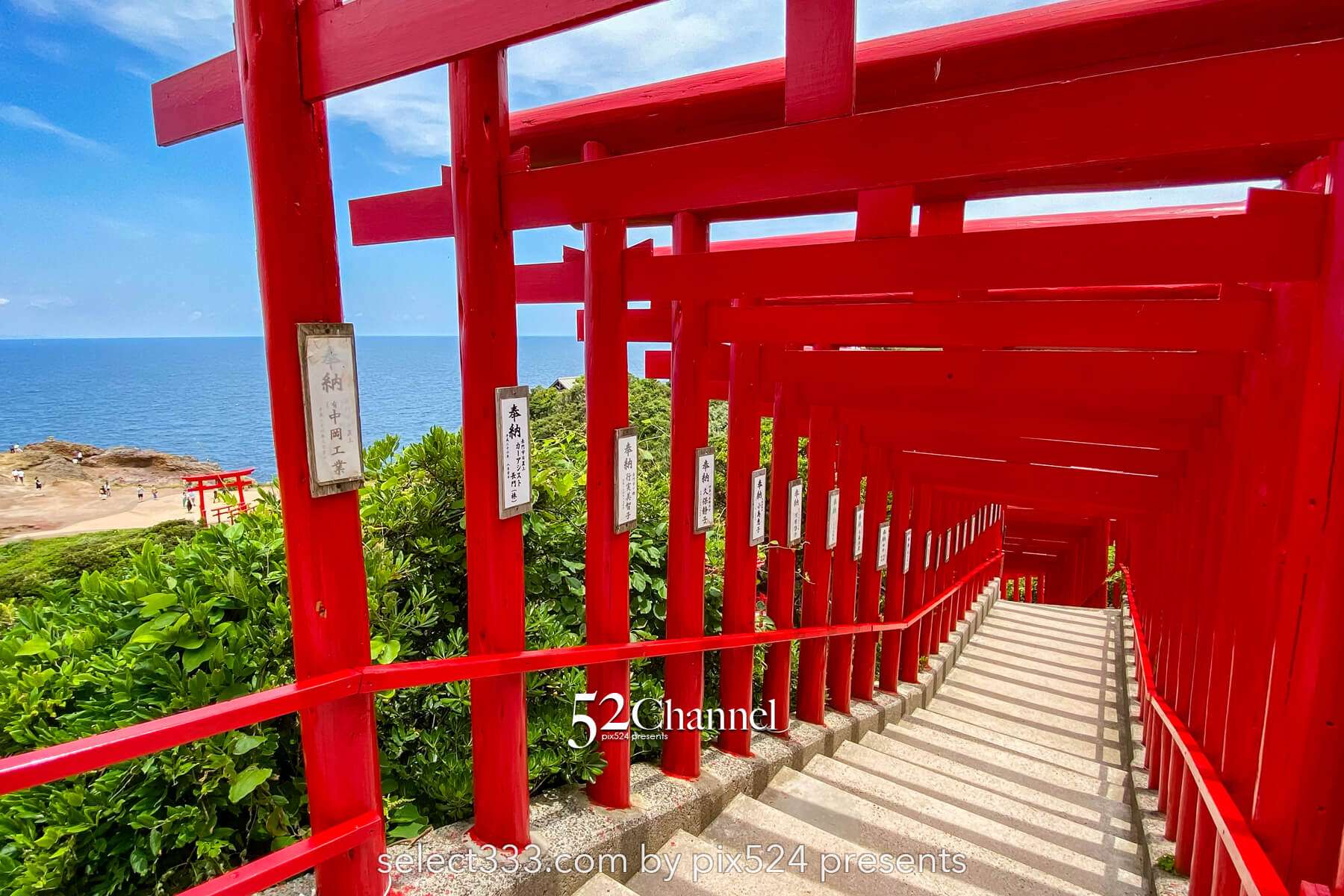 元乃隅神社:赤い鳥居が坂に続く山口県の絶景観光撮影スポット!アクセスと混雑回避ガイド