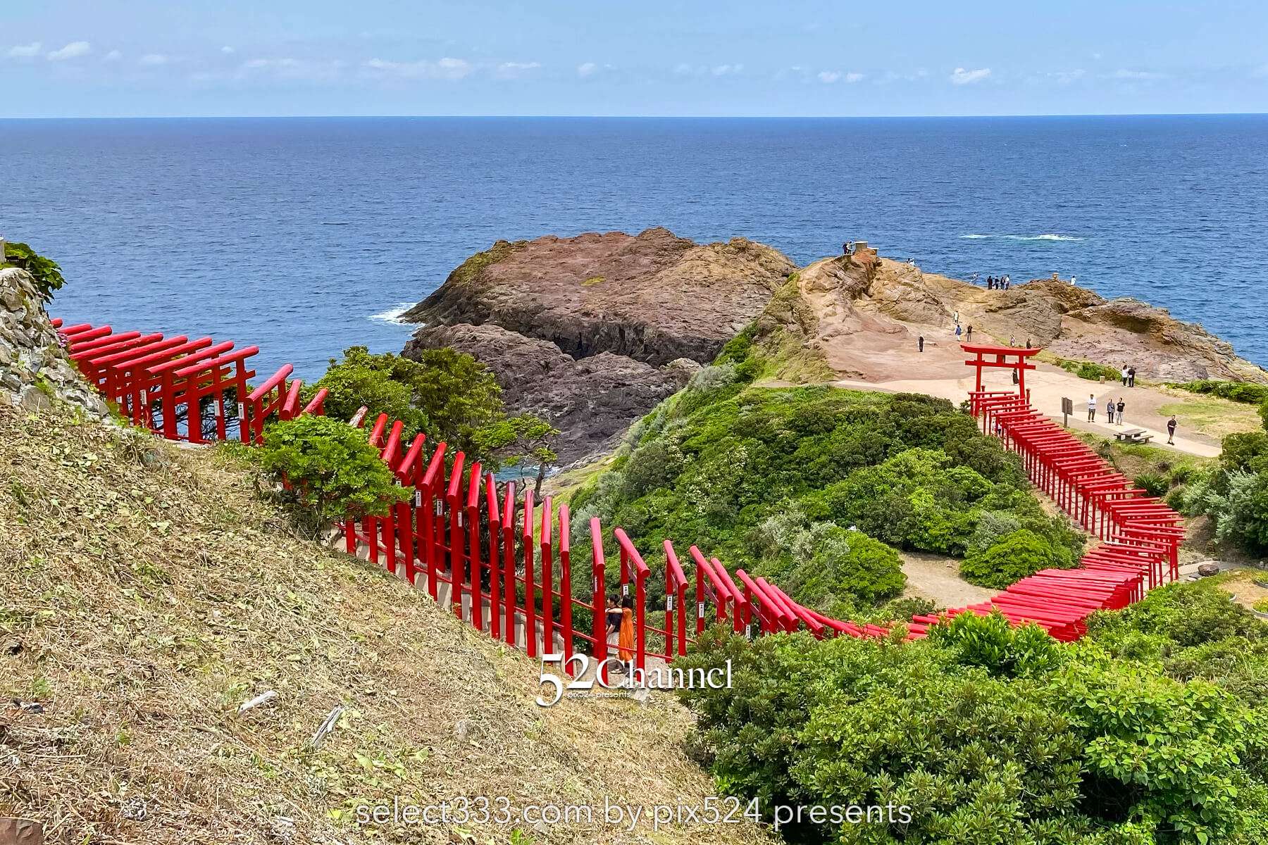 元乃隅神社：赤い鳥居が坂に続く山口県の絶景観光撮影スポット！アクセスと混雑回避ガイド