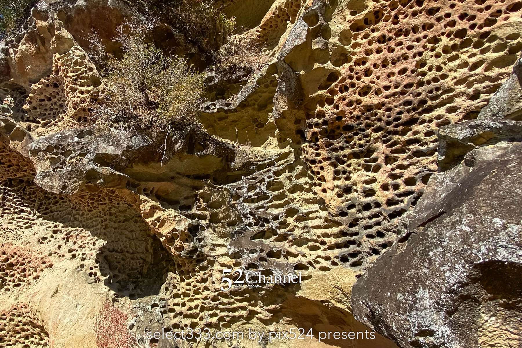 高池の虫喰岩：和歌山県にある自然が創った奇岩絶景の撮影！アクセスと周辺撮影地情報