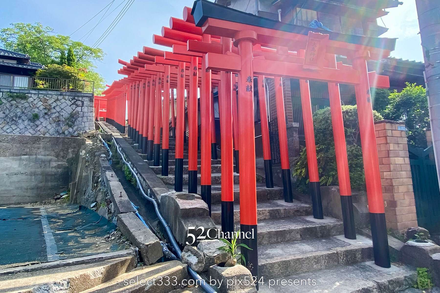 三原市 大嶋稲荷神社：鳥居の階段トンネルが魅力の撮影地！見どころ・駐車場・混雑ガイド