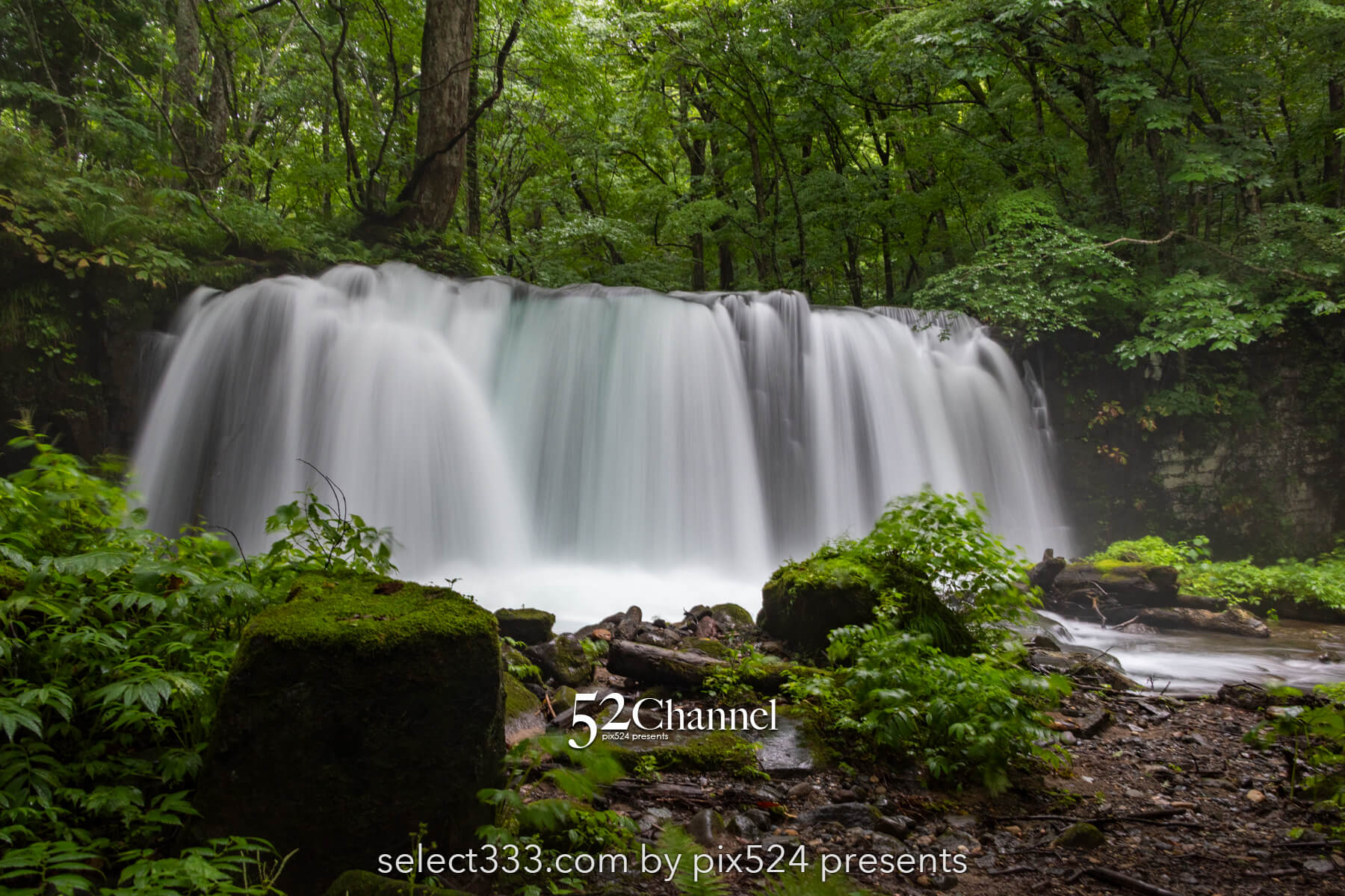 奥入瀬渓流:水の芸術が織りなす渓流!撮影ポイント14選とは?絶景ポイントと混雑回避