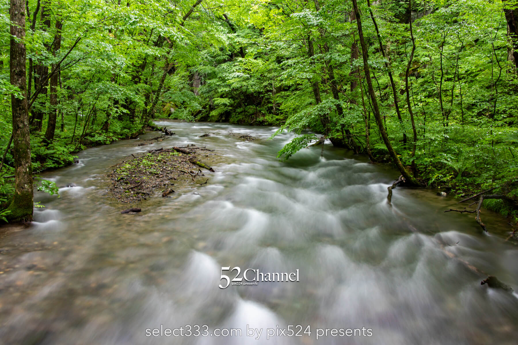 奥入瀬渓流:水の芸術が織りなす渓流!撮影ポイント14選とは?絶景ポイントと混雑回避