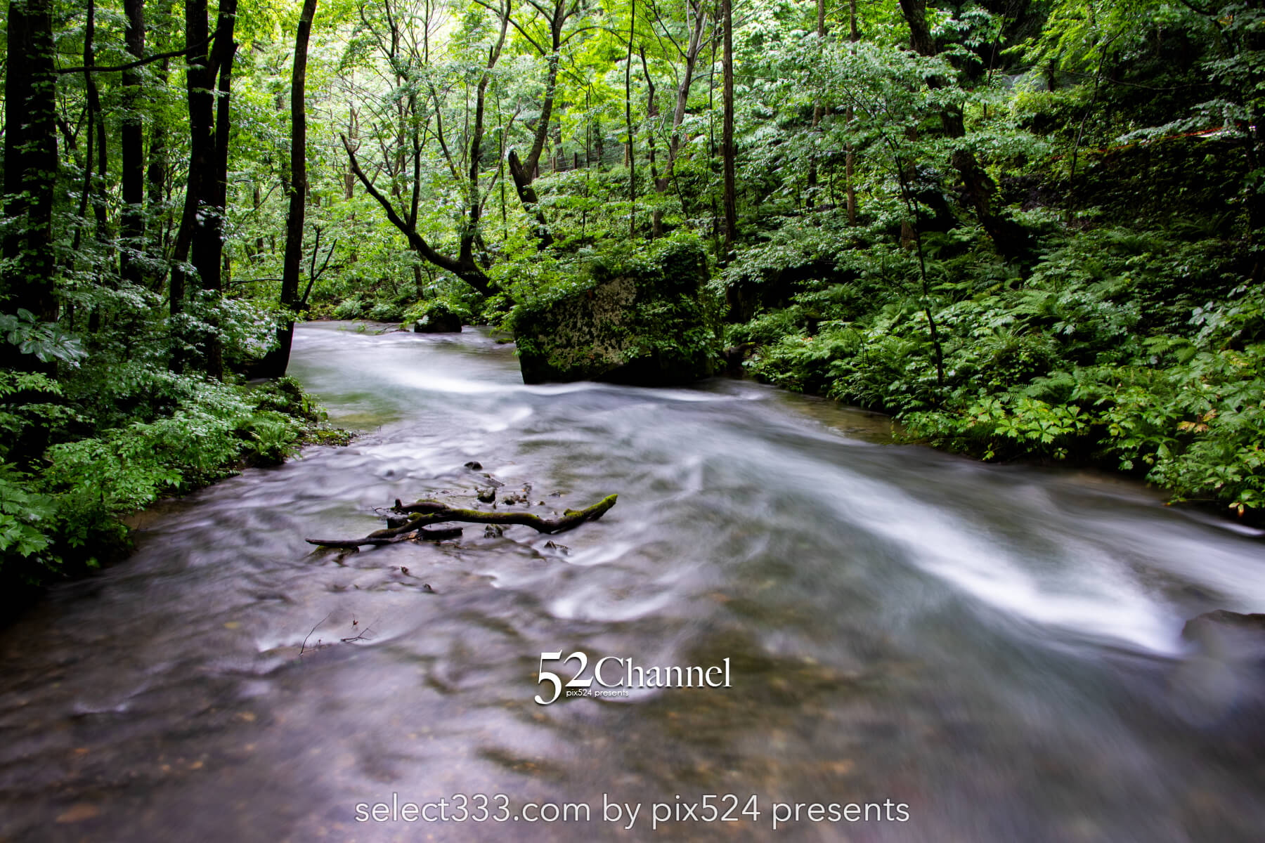 奥入瀬渓流:水の芸術が織りなす渓流!撮影ポイント14選とは?絶景ポイントと混雑回避