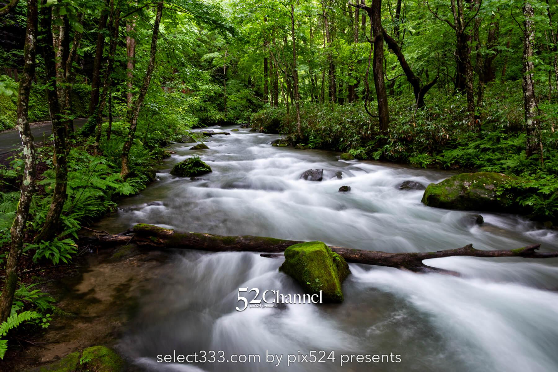 奥入瀬渓流:水の芸術が織りなす渓流!撮影ポイント14選とは?絶景ポイントと混雑回避