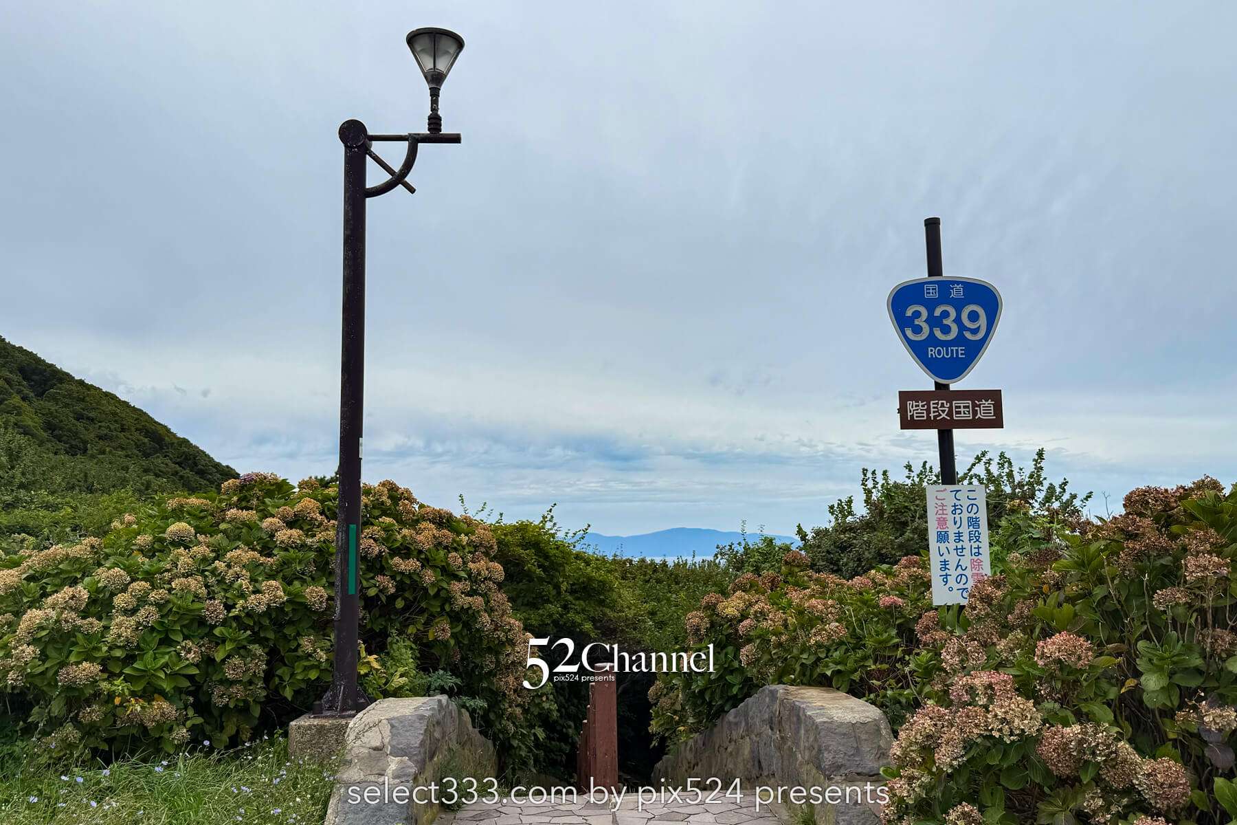 階段国道339号：車が通れない国道とは？階段国道の魅力とは？観光・撮影ポイントガイド