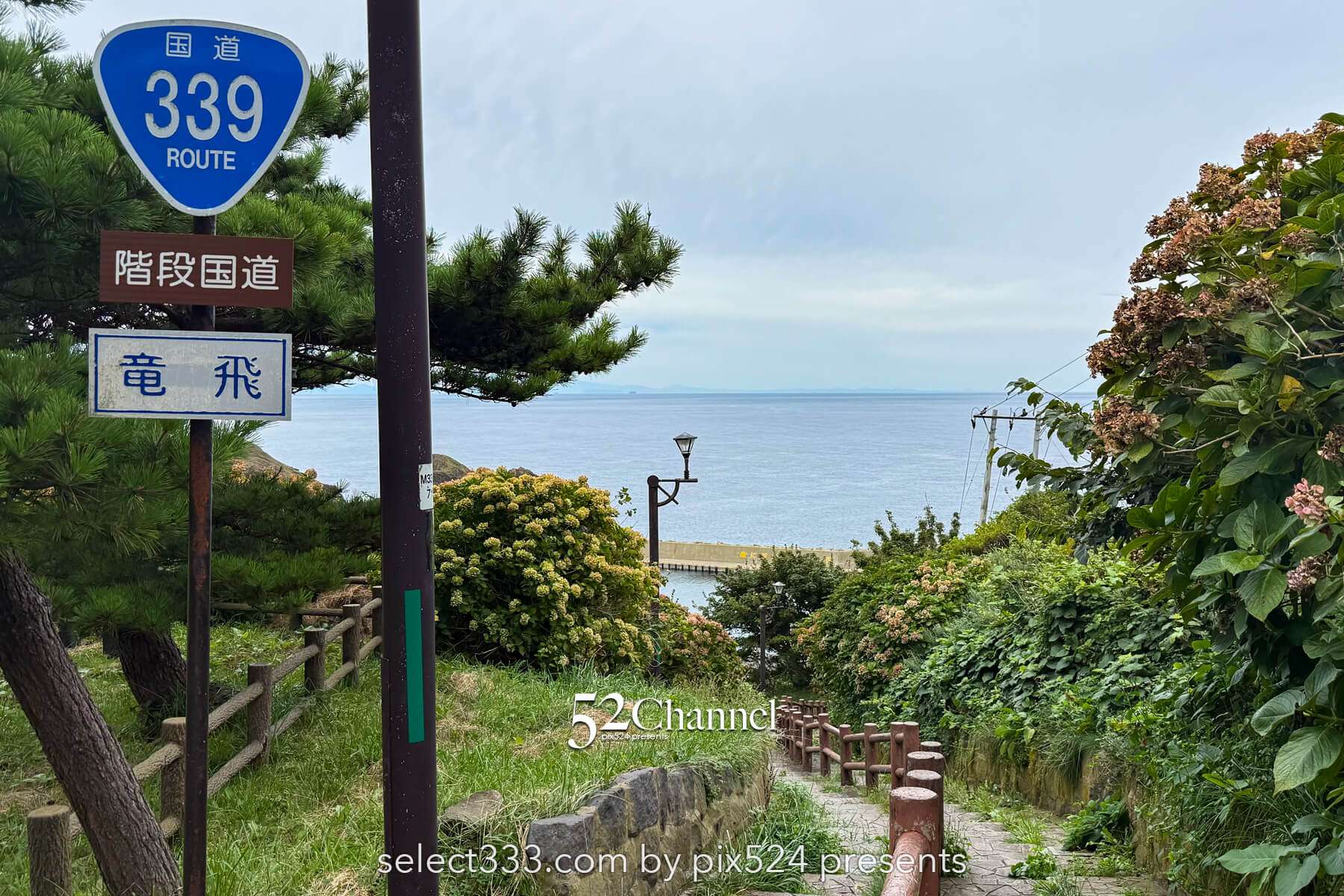 階段国道339号：車が通れない国道とは？階段国道の魅力とは？観光・撮影ポイントガイド
