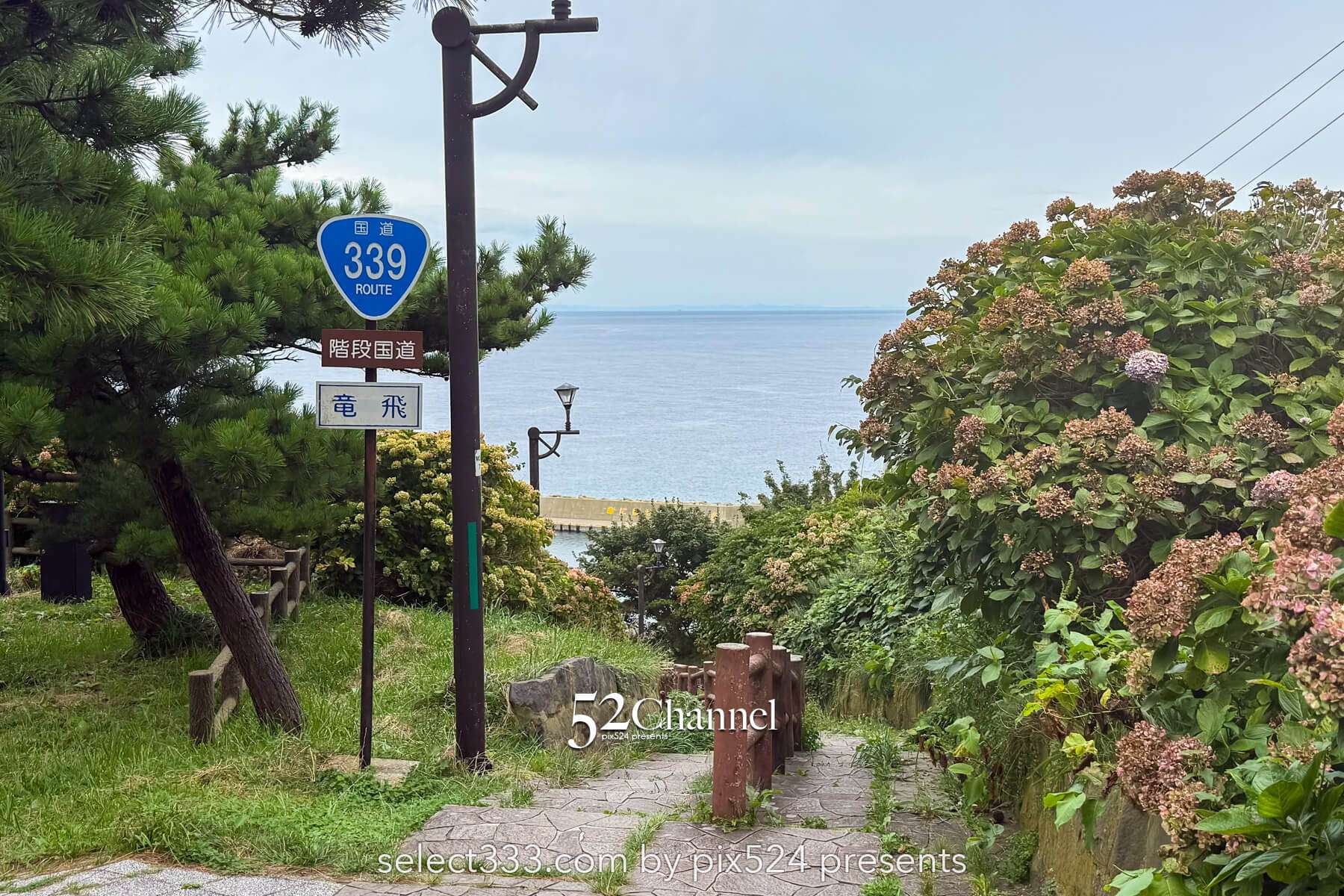 階段国道339号：車が通れない国道とは？階段国道の魅力とは？観光・撮影ポイントガイド