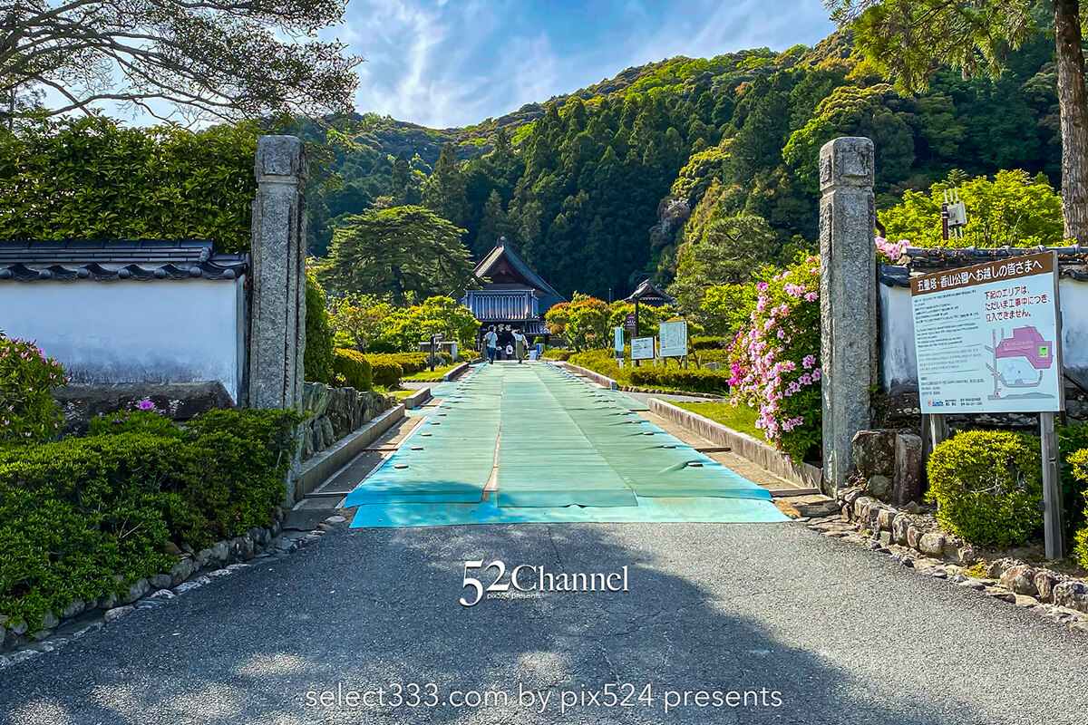 国宝瑠璃光寺五重塔：美しい日本庭園にそびえる五重塔は山口県の代表的観光スポット