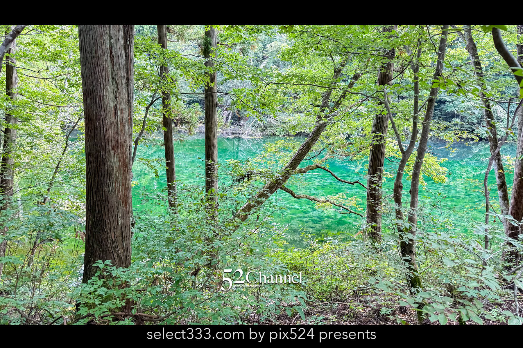 龍ヶ窪:色鮮やかな神秘の湧水地!絶景秘境の観光・撮影ポイント!名水百選の撮影スポット