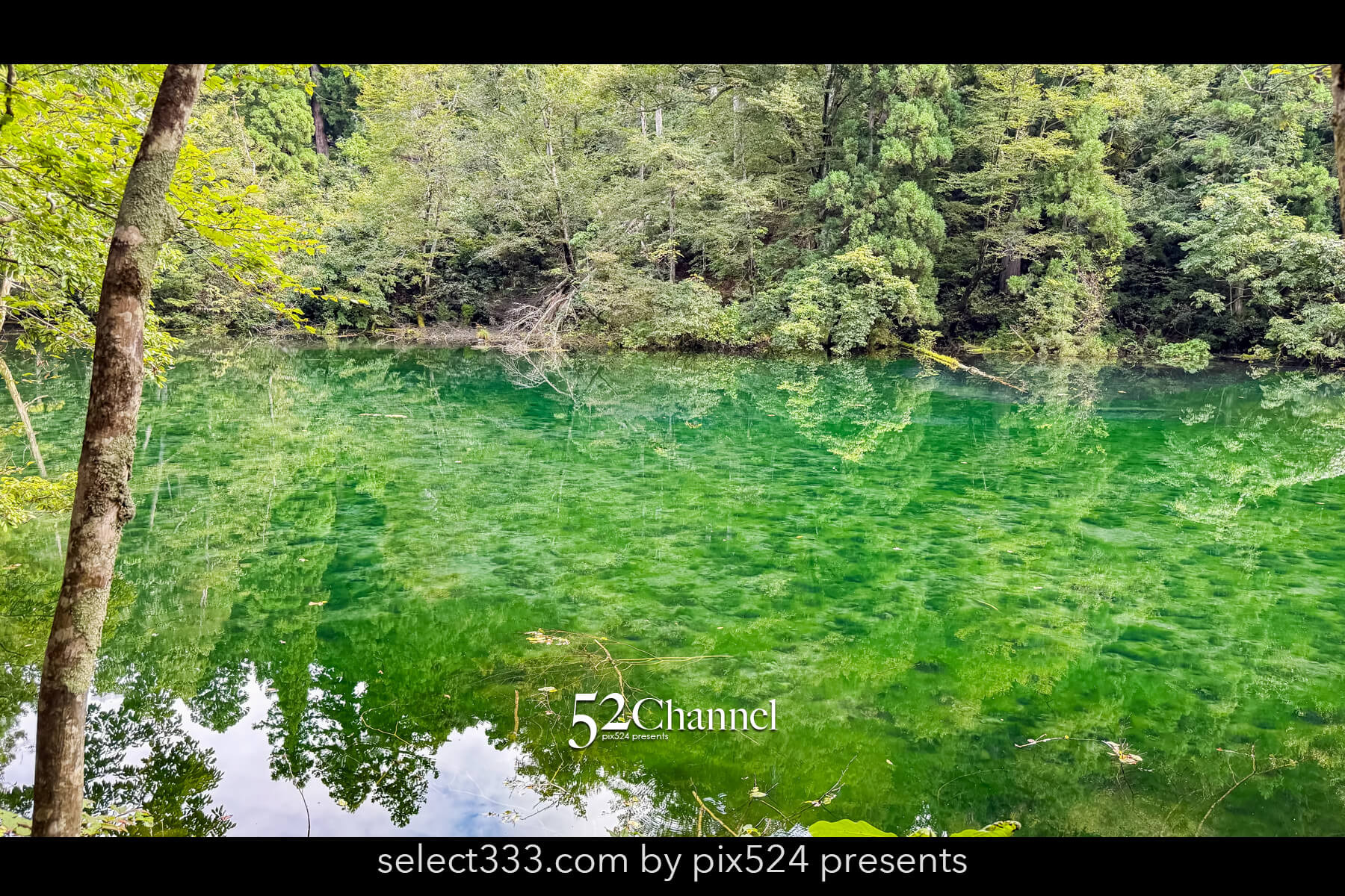 龍ヶ窪:色鮮やかな神秘の湧水地!絶景秘境の観光・撮影ポイント!名水百選の撮影スポット