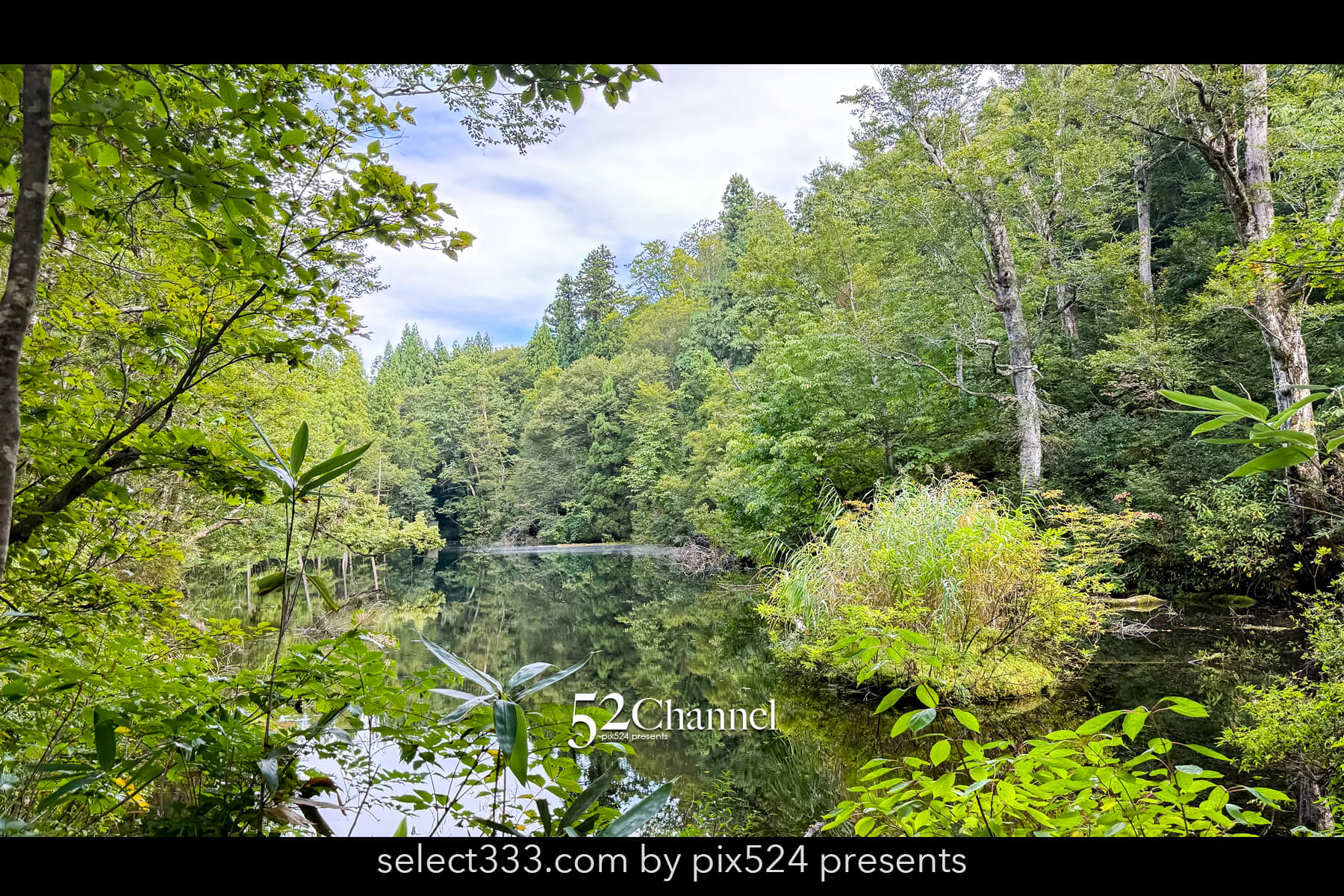 龍ヶ窪:色鮮やかな神秘の湧水地!絶景秘境の観光・撮影ポイント!名水百選の撮影スポット