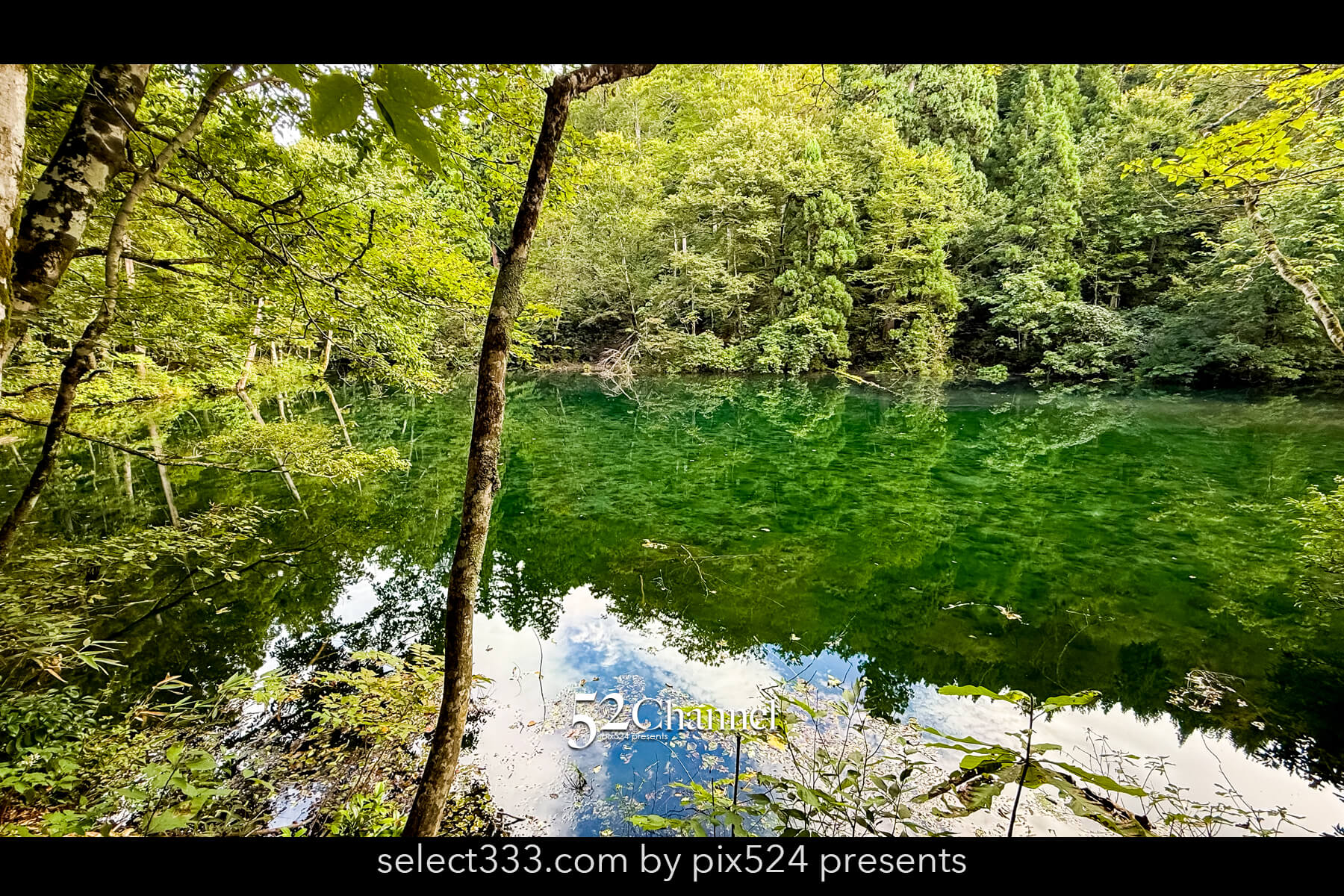 龍ヶ窪:色鮮やかな神秘の湧水地!絶景秘境の観光・撮影ポイント!名水百選の撮影スポット