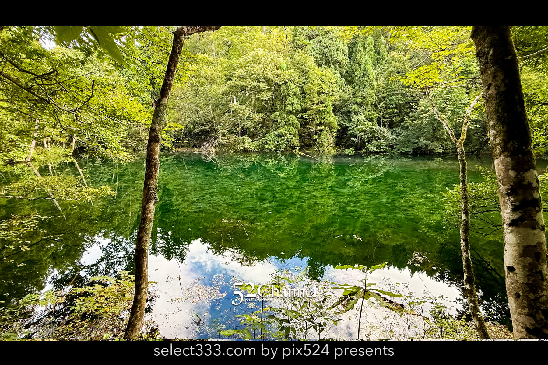龍ヶ窪:色鮮やかな神秘の湧水地!絶景秘境の観光・撮影ポイント!名水百選の撮影スポット