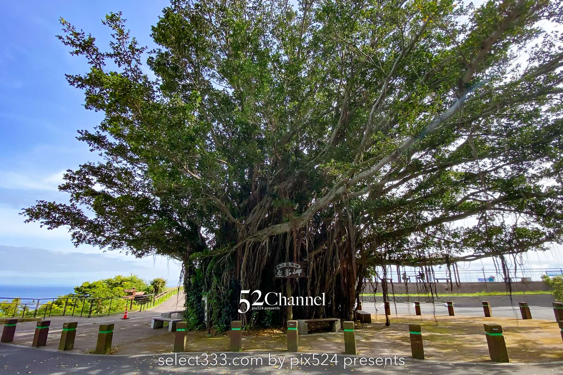 佐多岬：日本本土最南端 観光・撮影攻略徹底解説！アクセス・観光・撮影ポイント