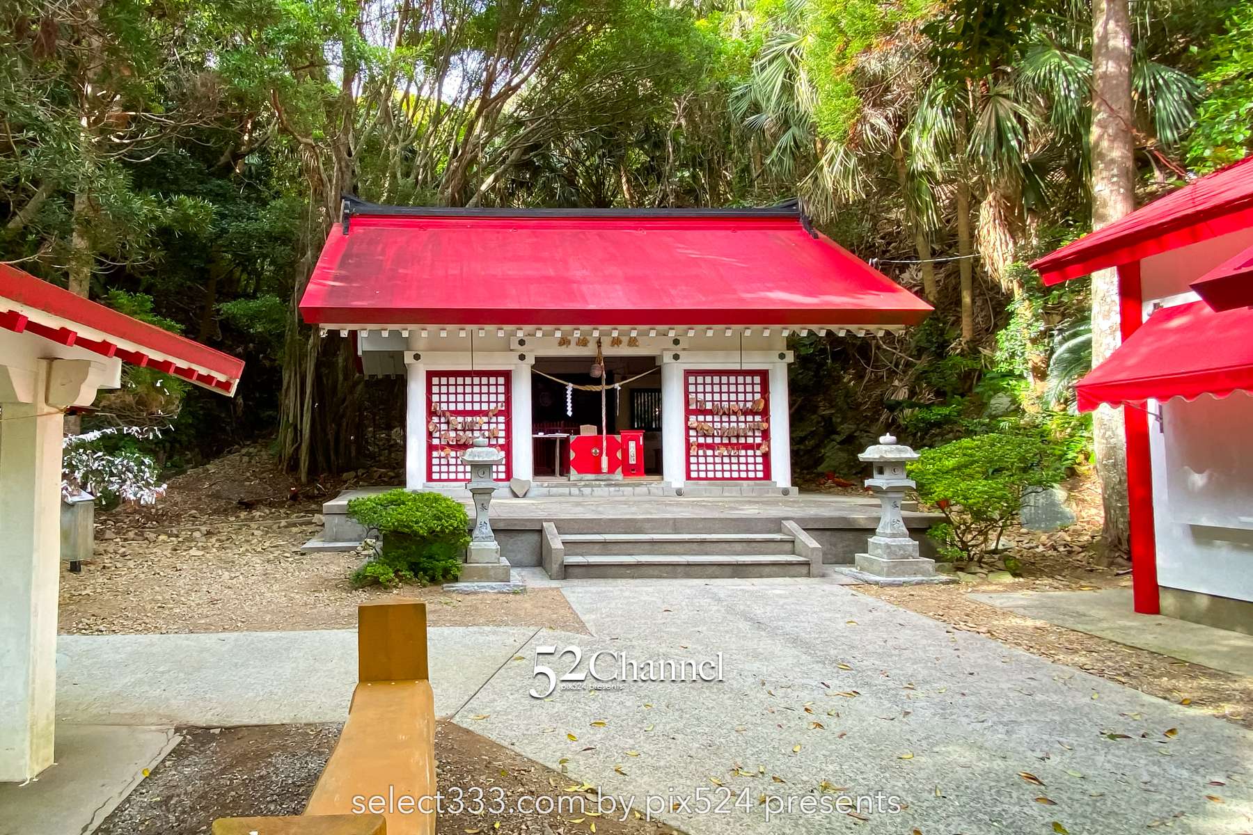 佐多岬：日本本土最南端 観光・撮影攻略徹底解説！アクセス・観光・撮影ポイント