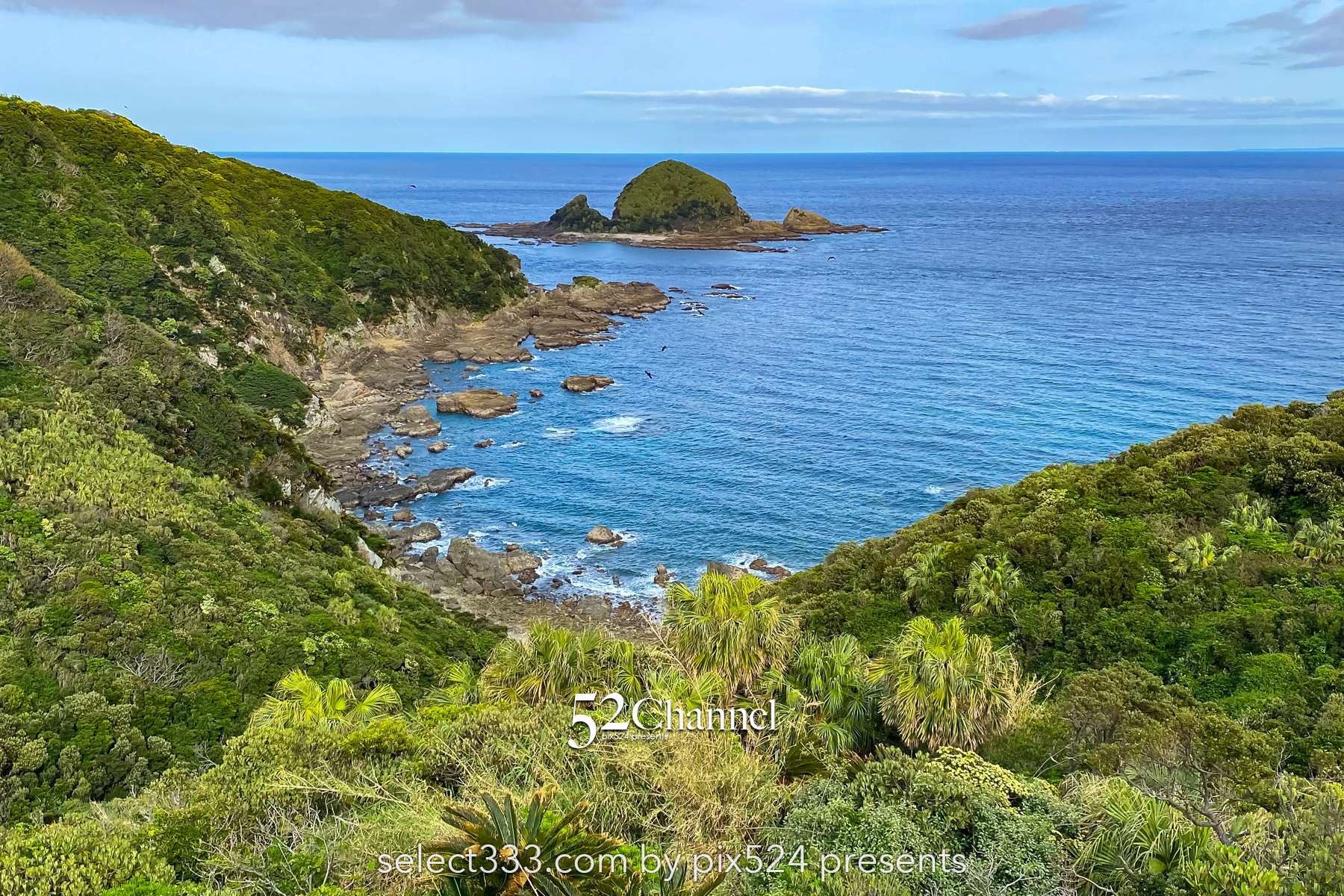 佐多岬：日本本土最南端 観光・撮影攻略徹底解説！アクセス・観光・撮影ポイント