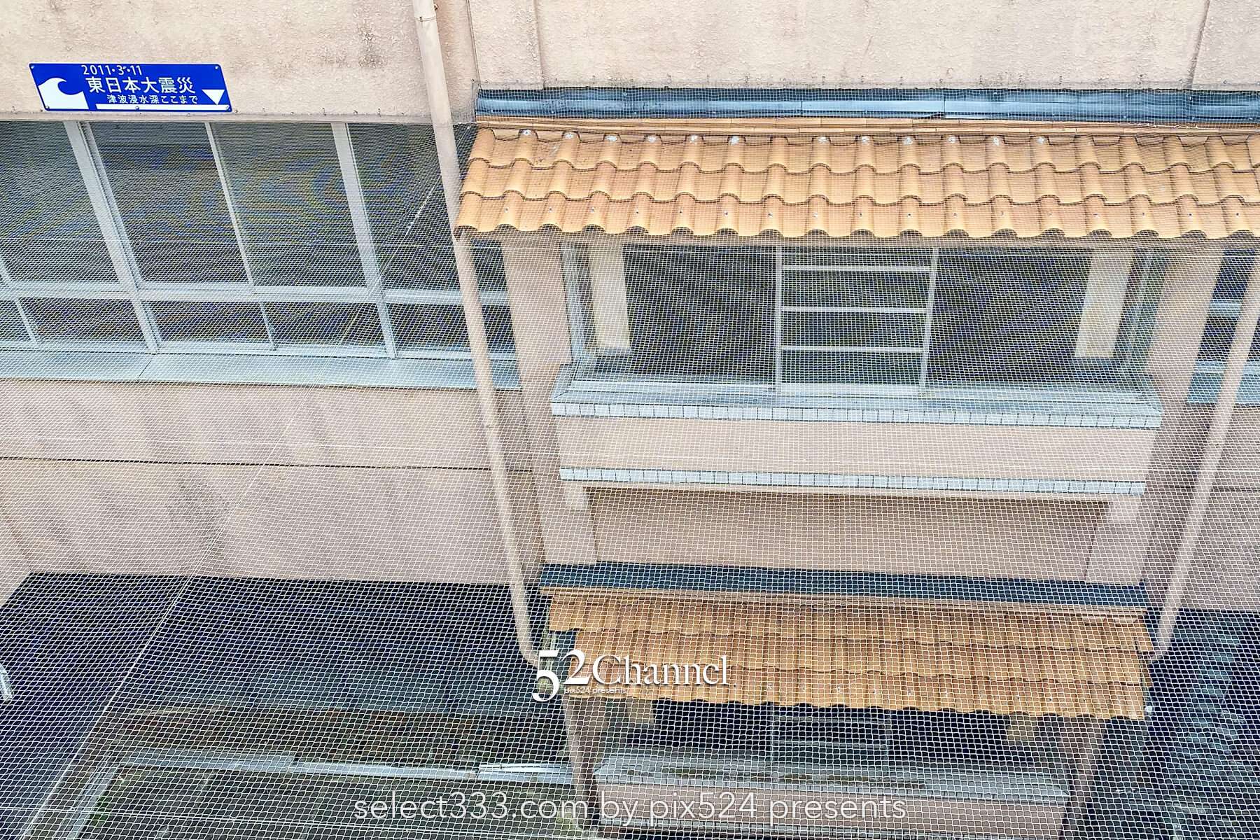 震災遺構 中浜小学校：東日本大震災の爪痕を訪ね心に刻む遺構巡り！アクセス・見学・撮影