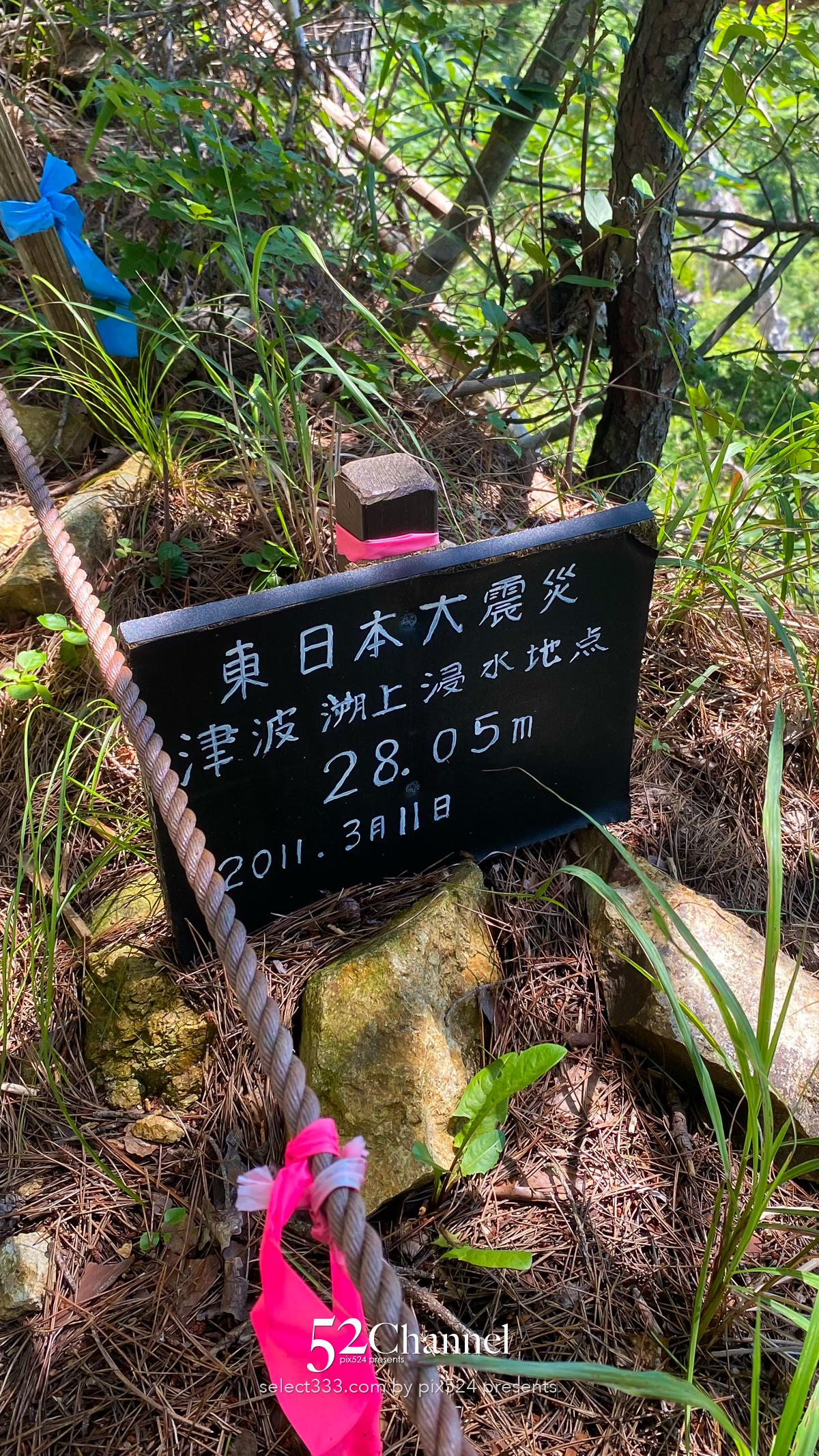 本州最東端魹ヶ崎:山越えで到達する本州の東の突端!岩手県宮古市の最先端で眺める太平洋の海