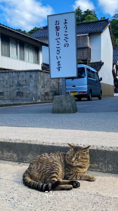 出雲大社(いずもおおやしろ):神々が集う縁結びのパワースポット!一度はお参りしたい福の神