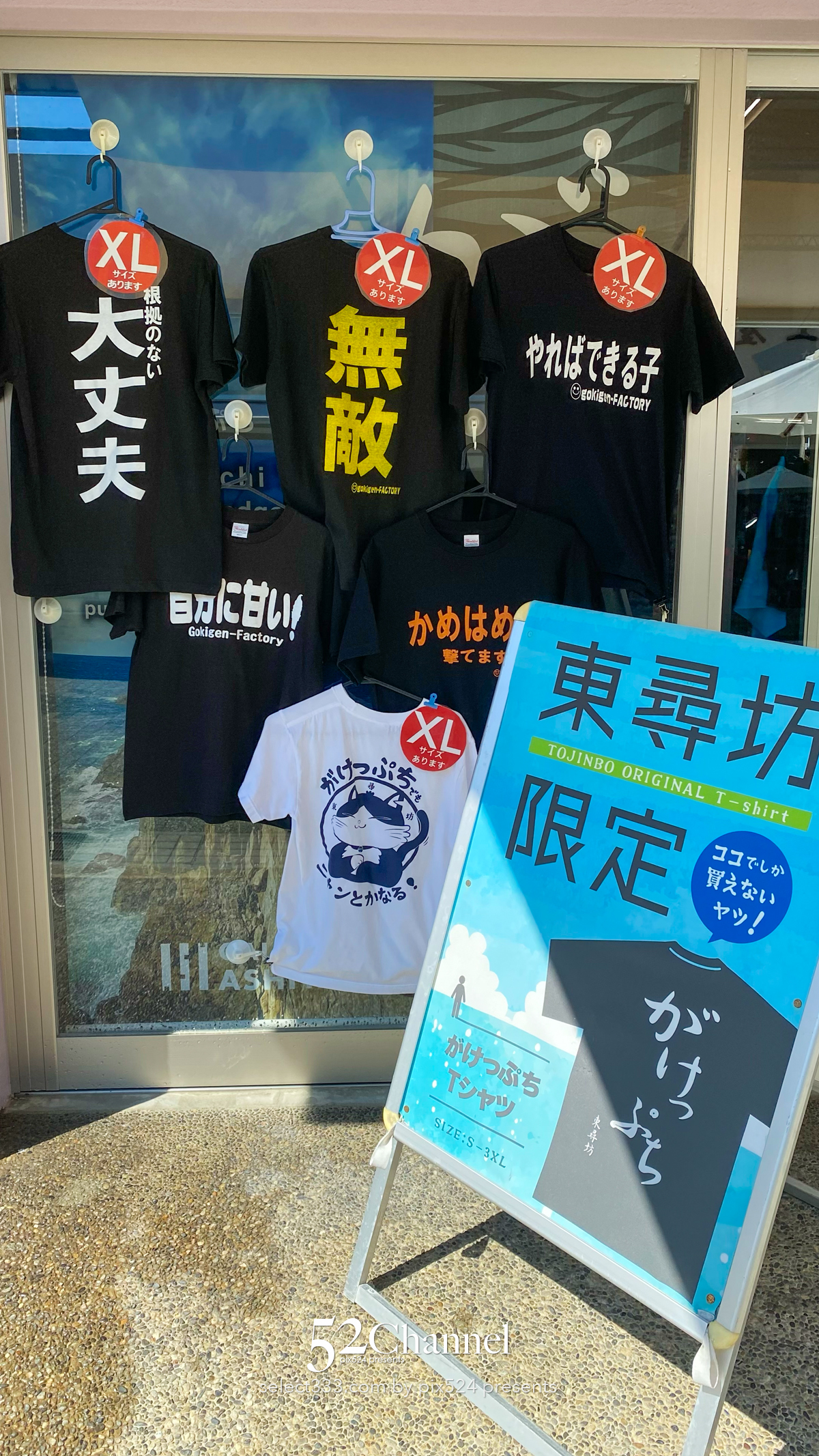 東尋坊:世界三大絶勝のダイナミックな垂直岸壁と日本海の絶景スポット!福井県の景勝地