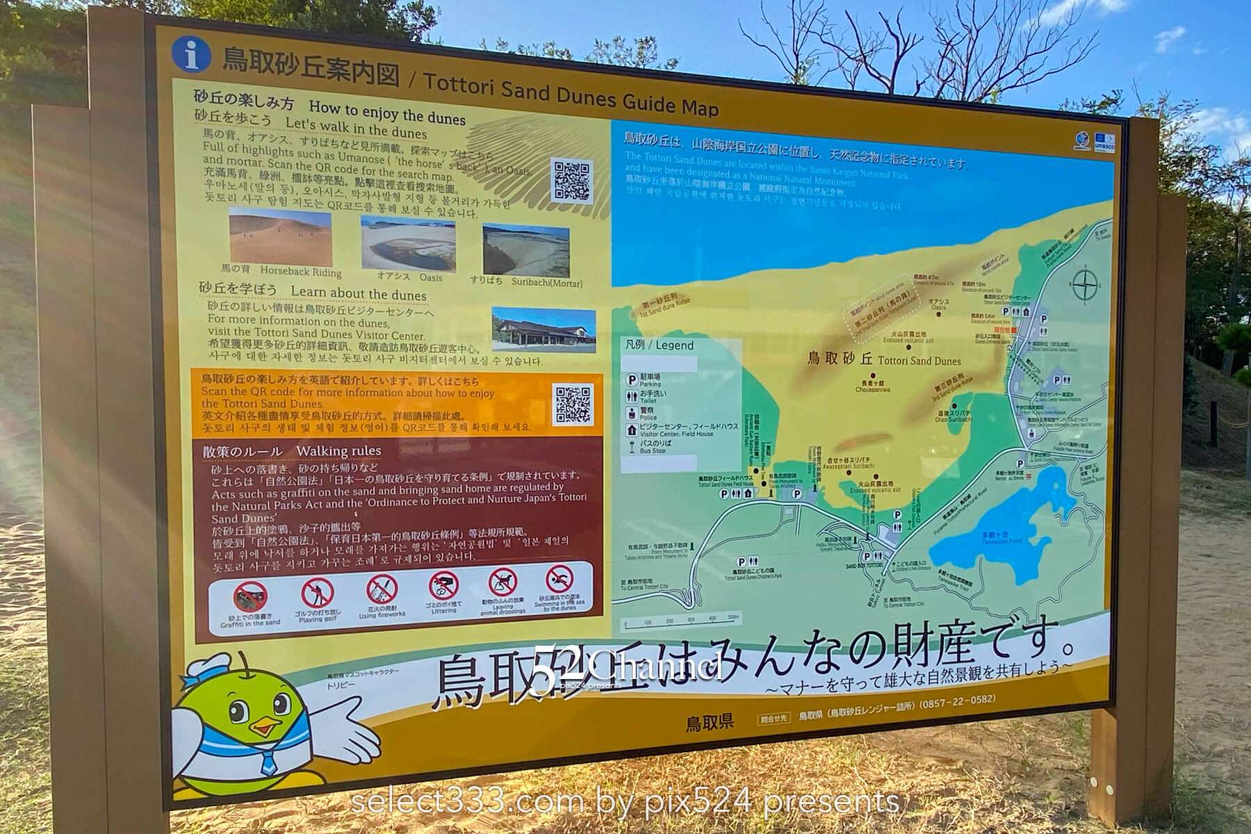 鳥取砂丘：日本最大級の砂丘の見どころと観光・撮影ポイント！アクセス・混雑・観光情報