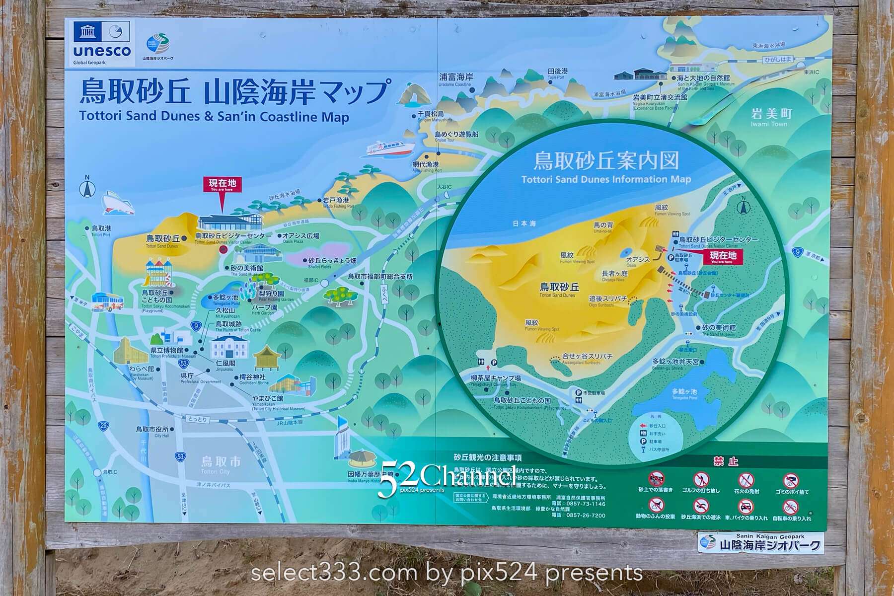 鳥取砂丘：日本最大級の砂丘の見どころと観光・撮影ポイント！アクセス・混雑・観光情報