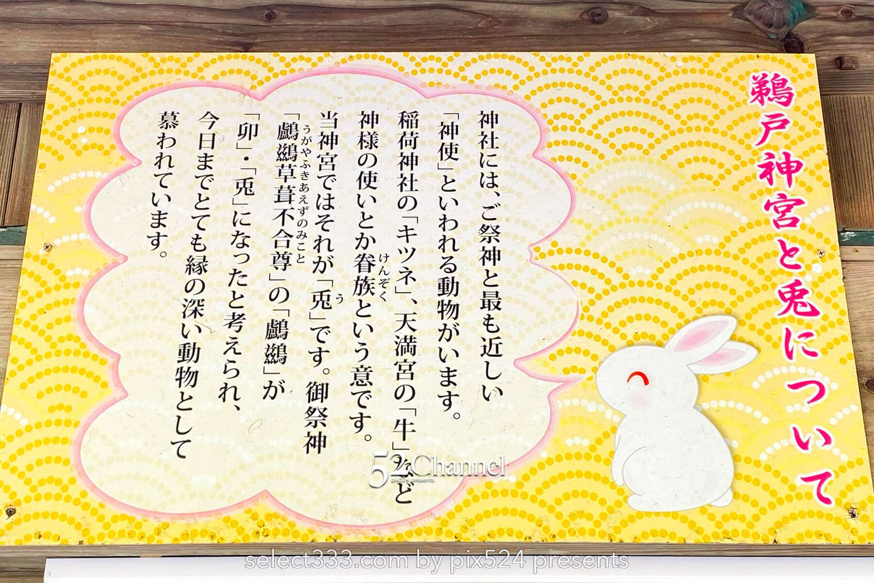 鵜戸神宮観光と写真撮影！見どころやアクセス・混雑情報！運玉・絶景・周辺観光スポット