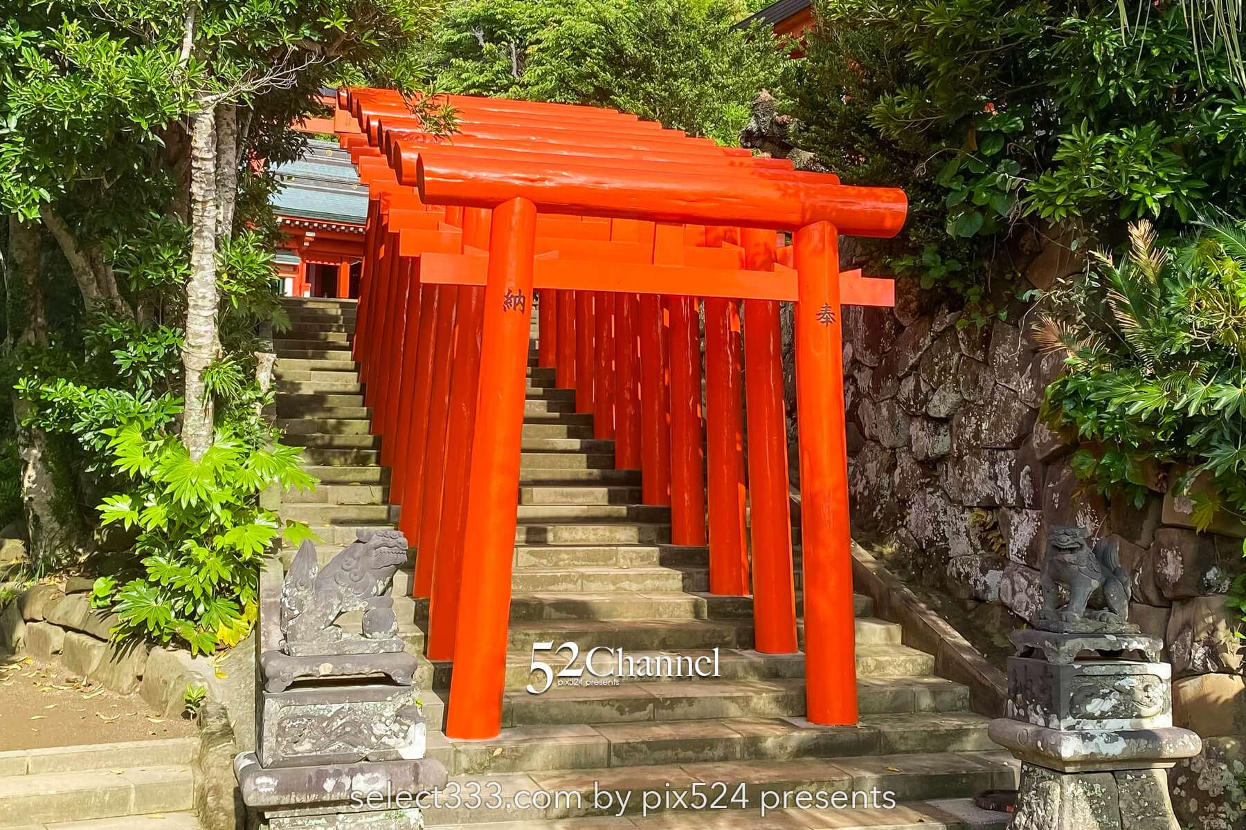 鵜戸神宮観光と写真撮影！見どころやアクセス・混雑情報！運玉・絶景・周辺観光スポット