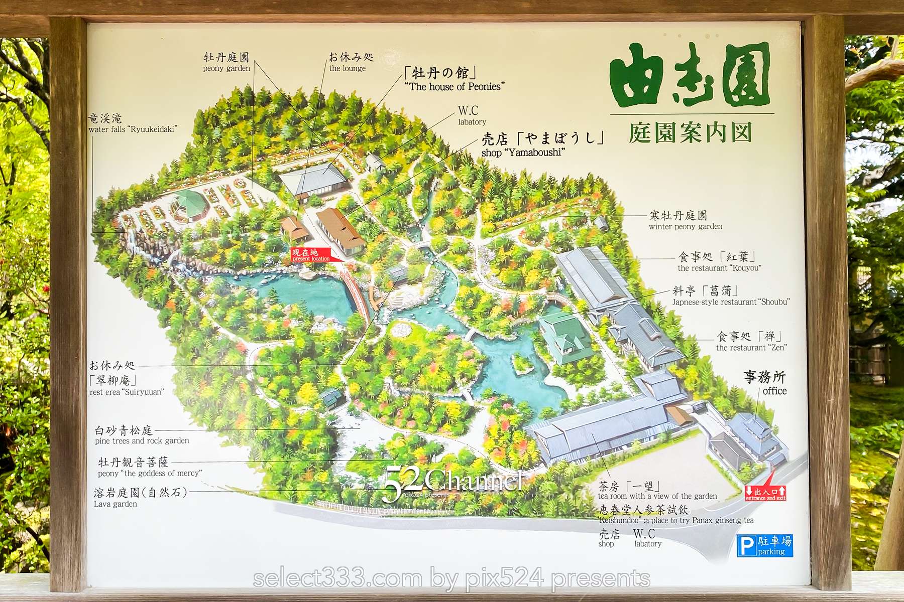 由志園：牡丹の見頃・四季の花々が溢れる日本庭園完全ガイド！アクセスと撮影・周辺観光！