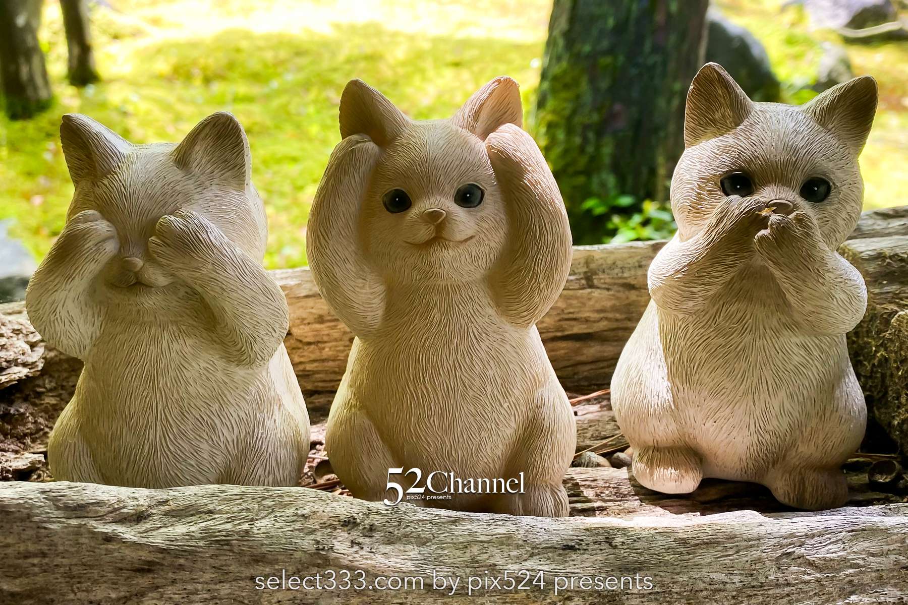 由志園：牡丹の見頃・四季の花々が溢れる日本庭園完全ガイド！アクセスと撮影・周辺観光！